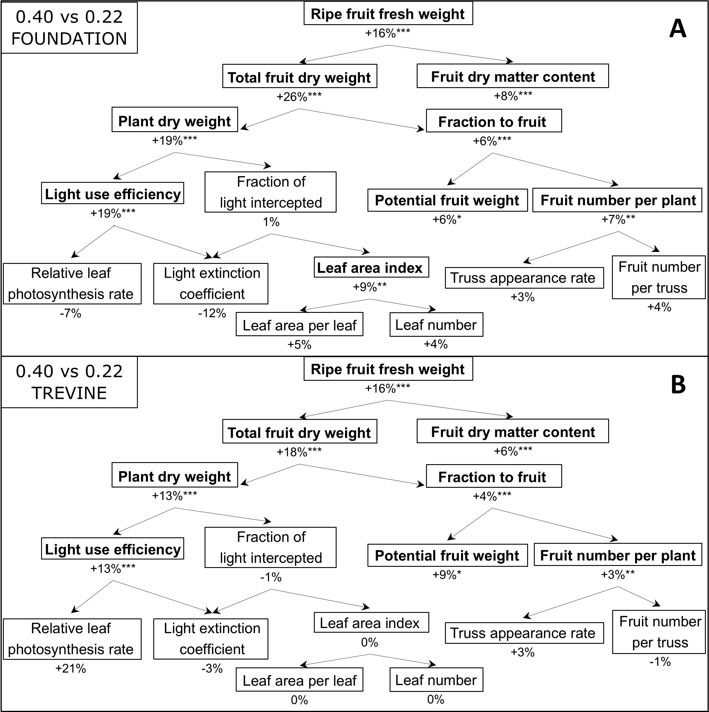 Two flowcharts labeled A and B compare Foundation and Trevine under conditions 0.40 versus 0.22. Both show relationships between variables like plant dry weight, light use efficiency, and ripe fruit fresh weight, with percentage changes and statistical significance. Arrows indicate causal connections and effects on fruit and leaf growth metrics.