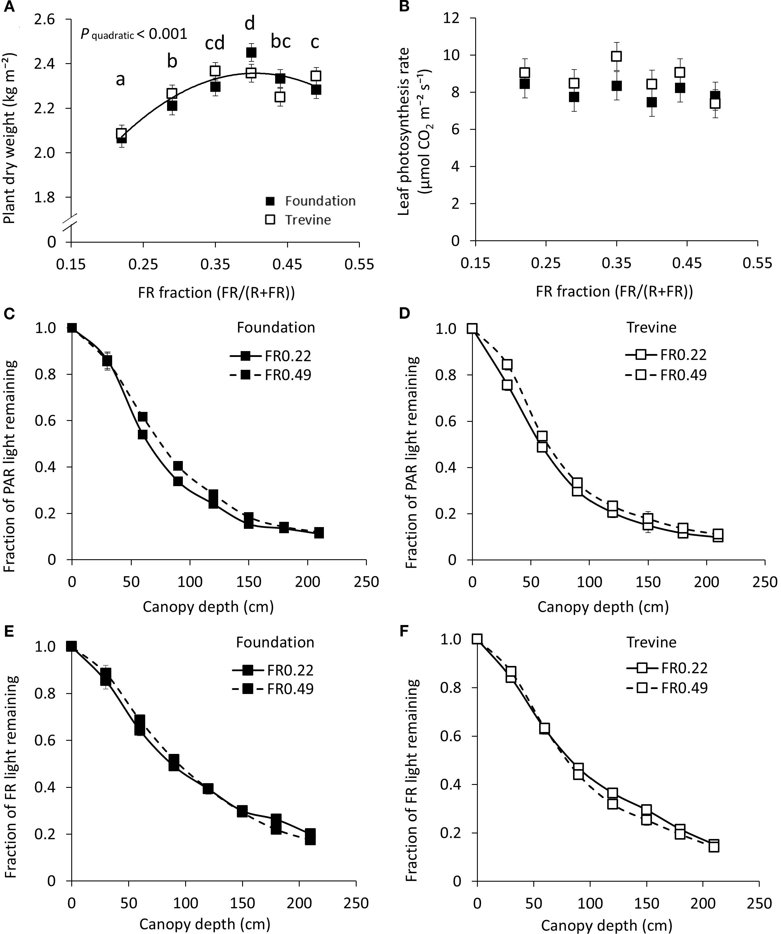 Six-panel figure showing various plant growth and light data. Panel A: Graph of plant dry weight versus FR fraction for Foundation and Trevine, showing a quadratic trend with significance. Panel B: Leaf photosynthesis rate versus FR fraction, with minimal variation. Panels C and D: Fraction of PAR light remaining against canopy depth for Foundation and Trevine at two FR levels. Panels E and F: Fraction of FR light remaining for the same variables, showing a decline with increasing depth. Data is depicted using different markers and lines for Foundation and Trevin.