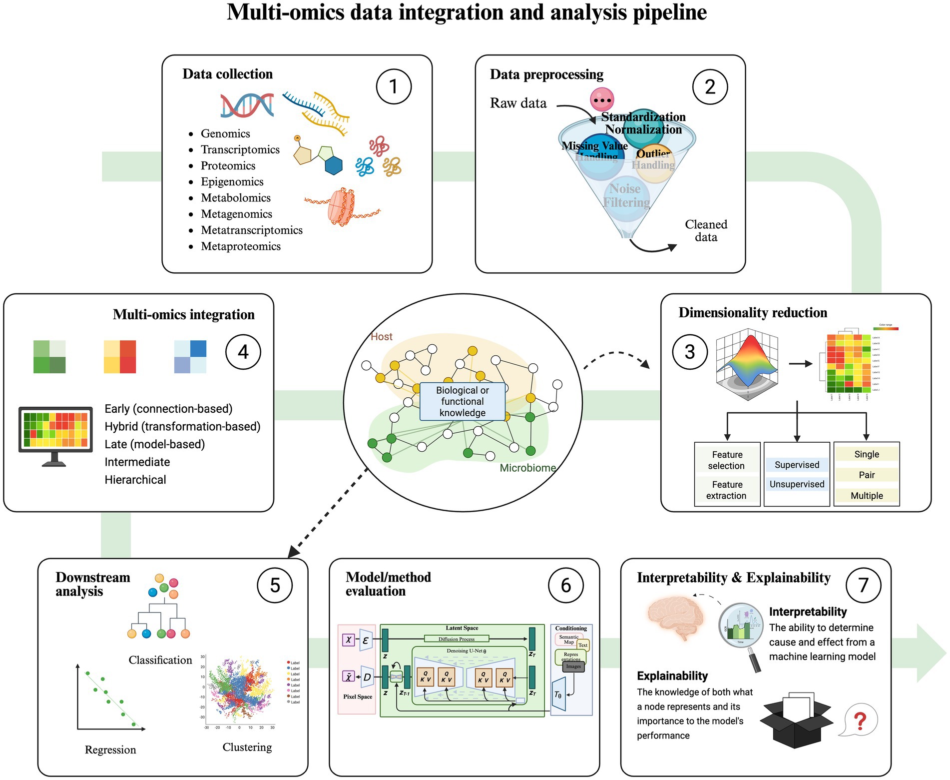 Multi-omics data integration and analysis pipeline illustration with seven stages: (1) Data collection, including genomics and proteomics; (2) Data preprocessing, like standardization; (3) Dimensionality reduction, featuring feature selection; (4) Multi-omics integration, using early and hybrid methods; (5) Downstream analysis, with classification and clustering; (6) Model/method evaluation, showing data flow; (7) Interpretability and explainability, explaining model comprehension and node significance. Connections indicate process flow among stages.