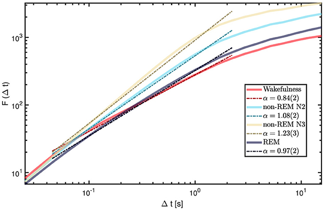 Log-log plot showing fluctuation functions F(Δt) against time intervals Δt in seconds, comparing states of wakefulness, non-REM N2 and N3, and REM sleep. Different colors represent each state, with lines indicating power-law fits. The inset legend lists scaling exponents (α) for each state.