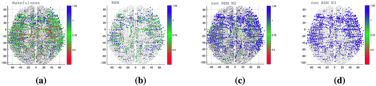 Four brain maps represent different sleep stages: (a) Wakefulness shows varied activity with red, green, and blue points. (b) REM features predominantly blue and green activity. (c) Non-REM N2 displays mainly blue and green regions. (d) Non-REM N3 highlights mostly blue areas, indicating deeper sleep stages. Each map includes a vertical color scale from blue to red.