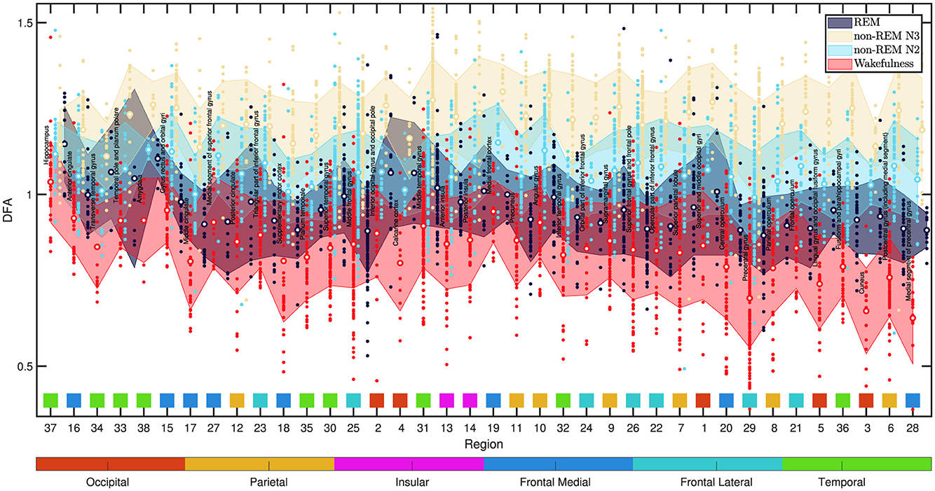 Graph showing DFA values across different brain regions during various sleep stages: REM, non-REM N3, non-REM N2, and wakefulness. Colored bands represent each sleep stage, with region numbers and colored bars below indicating brain areas.