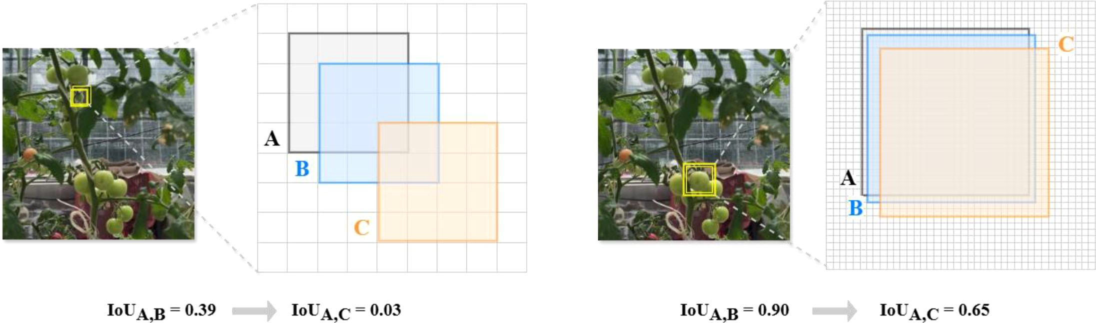 Two images depict tomatoes on a plant with overlapping bounding boxes labeled A, B, and C to demonstrate Intersection over Union (IoU) calculations. The left image shows a low IoU of 0.39 between A and B, and 0.03 between A and C. The right image displays a higher IoU of 0.90 between A and B, and 0.65 between A and C.