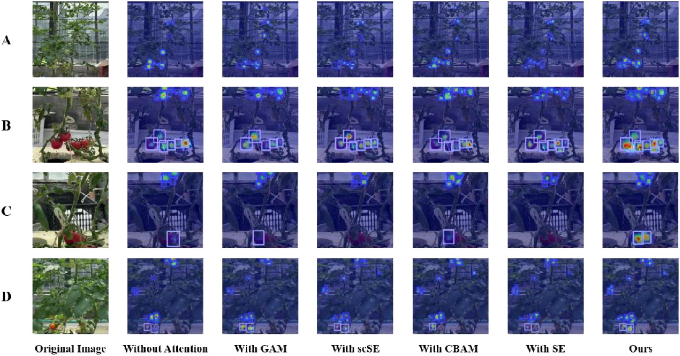 A grid of plant images shows the effect of different attention models. Rows labeled A to D depict various plant scenes. Columns from left to right show the original image, then the same image with attention models applied: Without Attention, With GAM, With scSE, With CBAM, With SE, and Ours. Each subsequent column displays color-coded areas highlighting detected features, with changes in focus and intensity across models.
