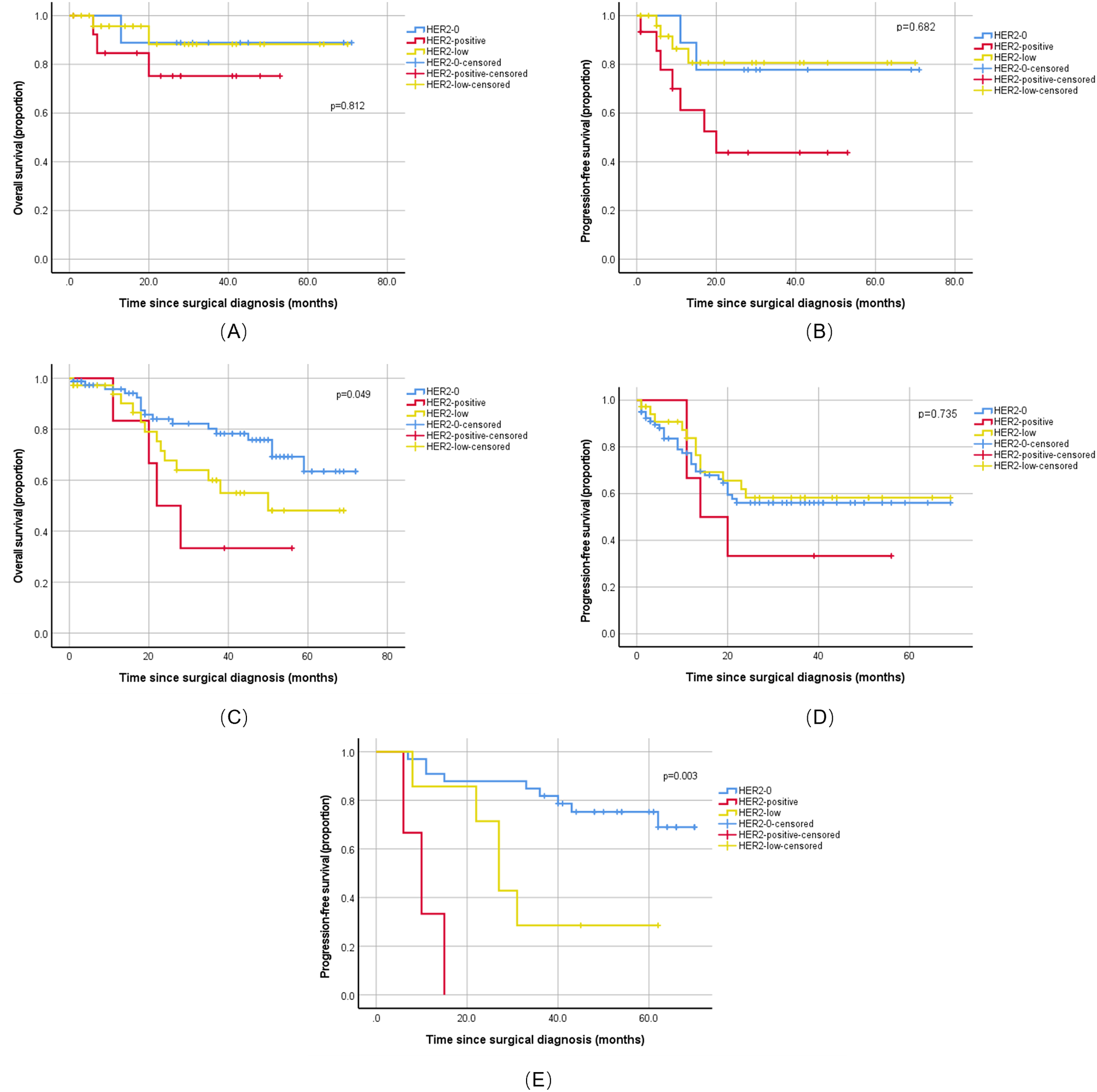 Five Kaplan-Meier plots display survival analysis based on HER2 status. Graphs A and C show overall survival; graphs B, D, and E show progression-free survival. Each graph compares HER2-positive, HER2-0, and HER2-low cases, indicated by different lines. Significant survival differences are evident in graphs C (p=0.049) for overall survival and E (p=0.003) for progression-free survival. The x-axis represents time since surgical diagnosis, and the y-axis shows the proportion of patients surviving.