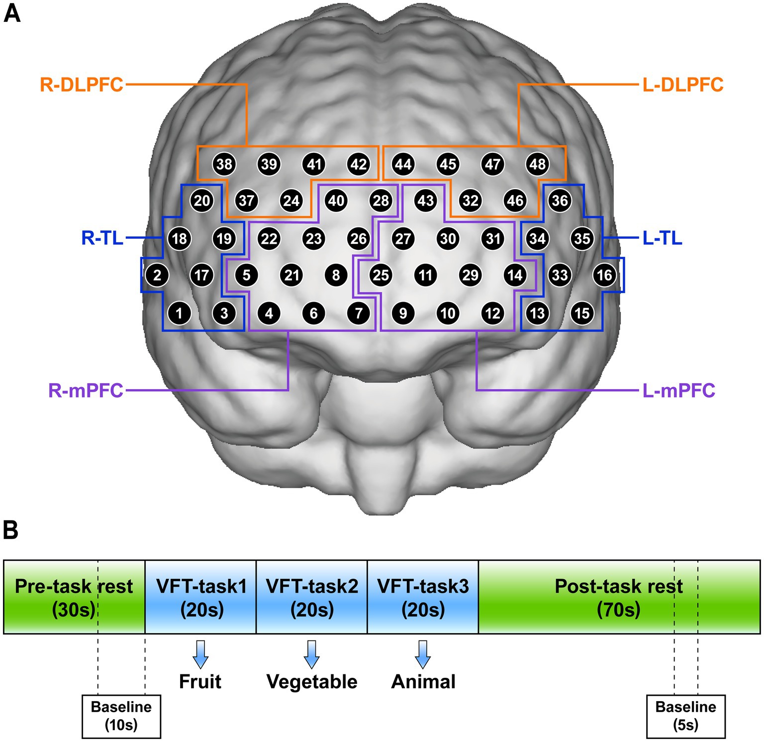 Diagram of a brain showing regions with numbered electrodes labeled as R-DLPFC, L-DLPFC, R-TL, L-TL, R-mPFC, and L-mPFC. Below, a timeline displays tasks: