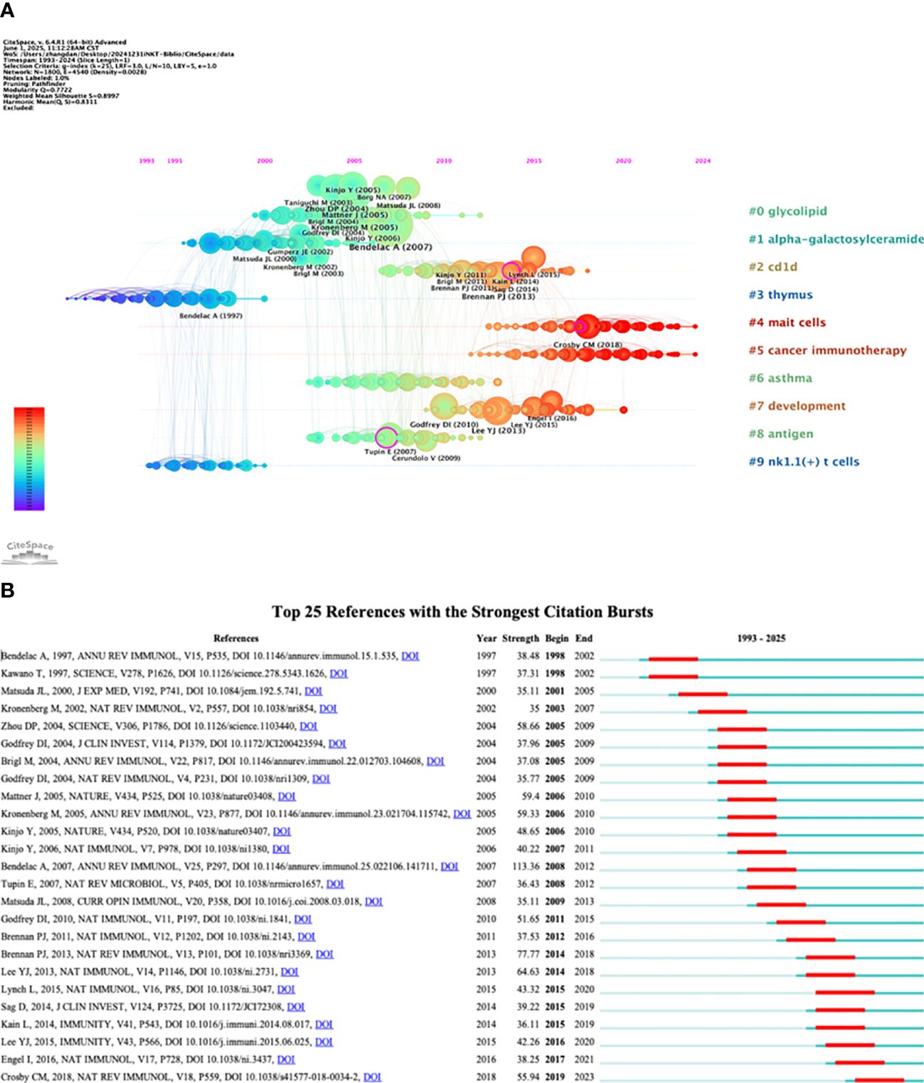 Diagram (A) depicts a timeline of research on various iNKT cells-related topics, illustrated with colored circles representing different subjects such as glycolipid, cd1d, and cancer immunotherapy. Diagram (B) lists the top 25 references with citation bursts, indicating the influence of specific publications over time.