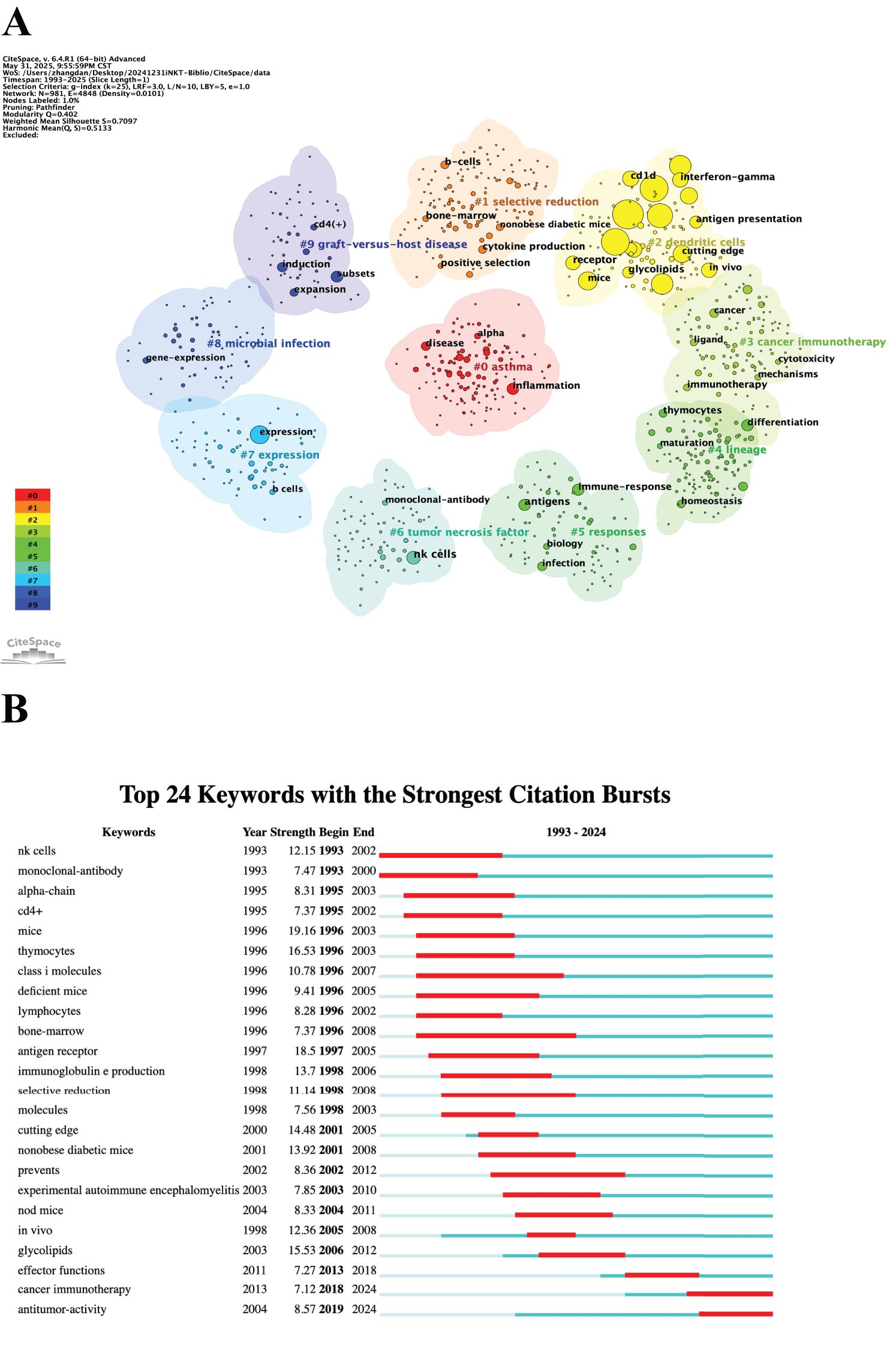 A: A cluster map displays colored regions representing topics such as selective reduction, dendritic cells, and cancer immunotherapy with keywords and citation nodes labeled. B: A bar chart lists the top 24 keywords with the strongest citation bursts from 1993 to 2024, showing years and strength.