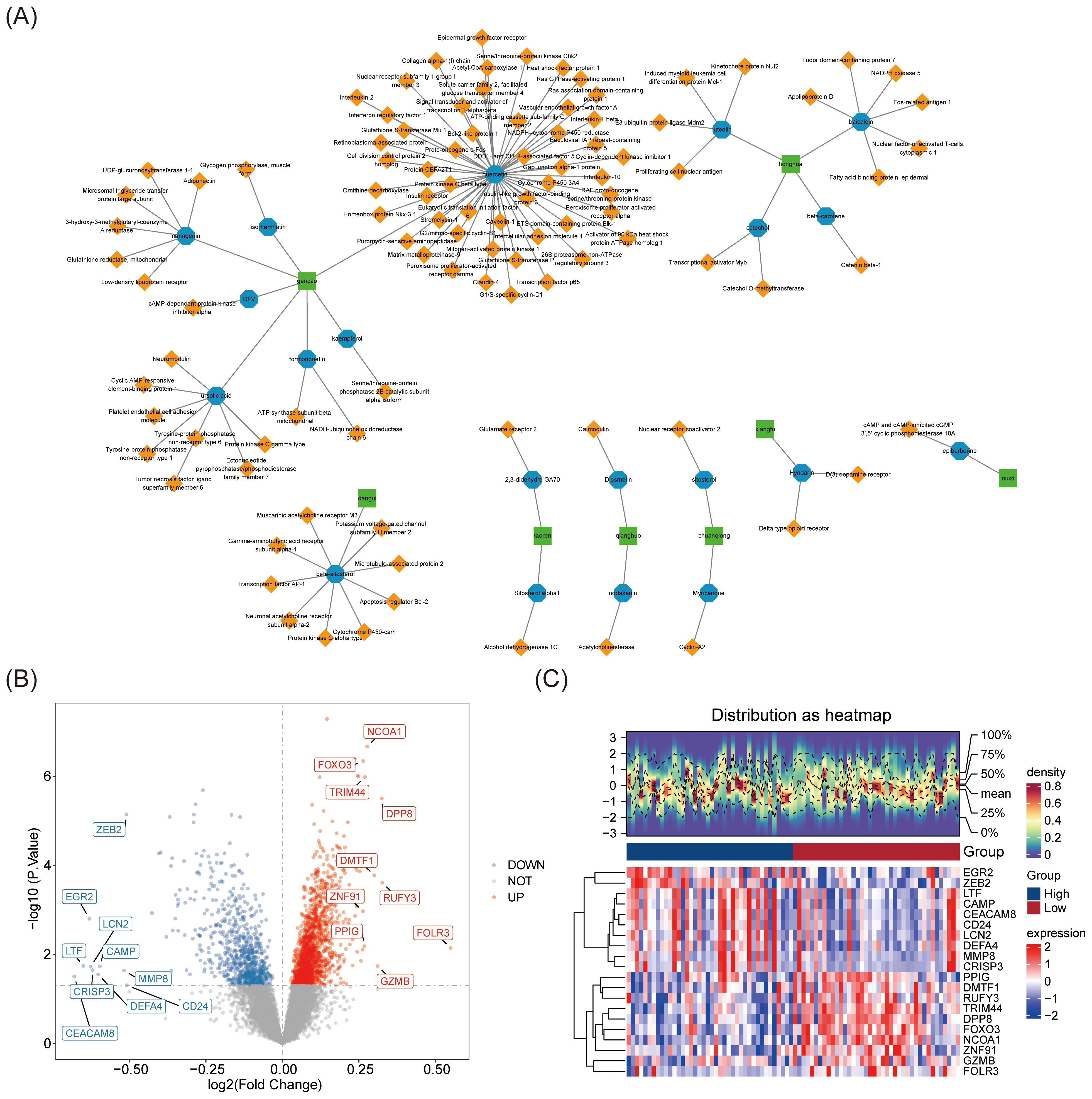 (A) A network analysis diagram with blue circles, orange diamonds, and green squares, indicating interactions between various nodes. (B) A volcano plot showing gene expression changes, with blue and red labels highlighting downregulated and upregulated genes, respectively. (C) A heatmap with a density plot and hierarchical clustering, displaying gene expression levels across different groups, with a color gradient from red (high) to blue (low).