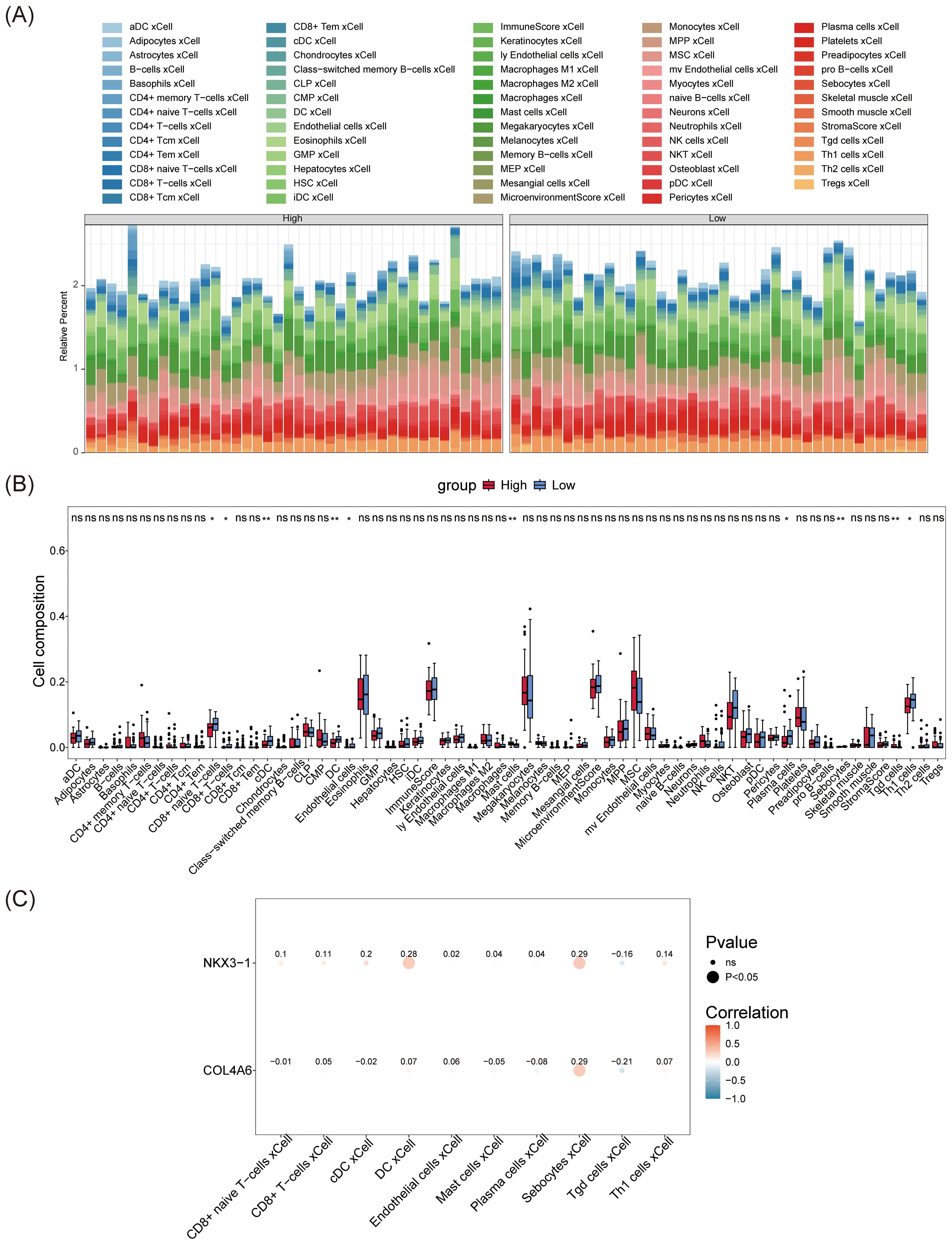(A) Stacked bar chart showing the relative percent of various cell types for high and low groups. Each cell type is color-coded and listed in the legend above. (B) Box-and-whisker plot displaying cell composition for numerous cell types across high and low groups. Notable differences are indicated, with significance levels marked. (C) Correlation matrix for NKX3-1 and COL4A6 genes with selected cell types, color-coded by correlation strength, with significance denoted by circle size.