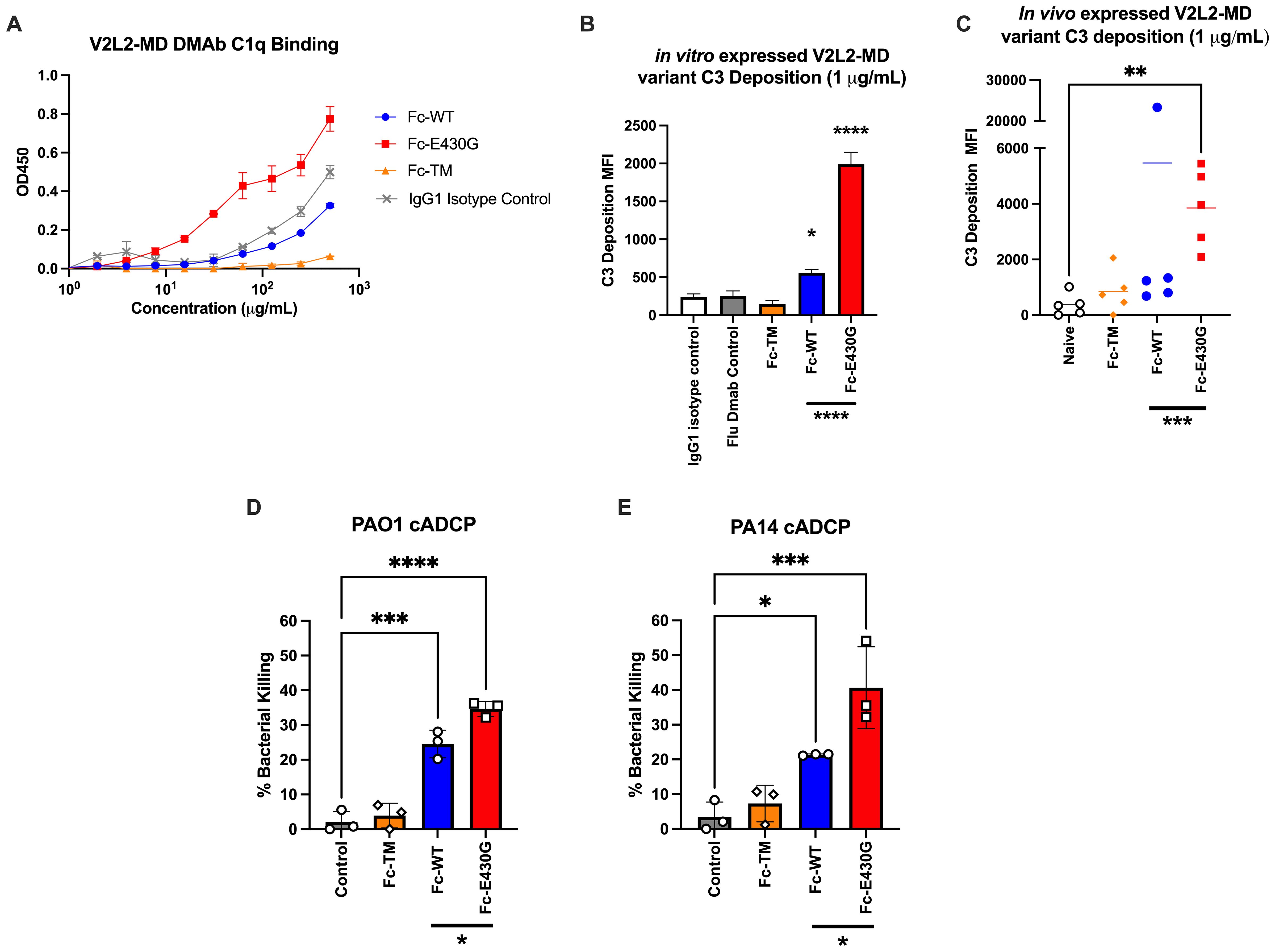 Five graphs demonstrate various antibody interactions and effects. (A) Line graph showing C1q binding at different concentrations for Fc variants; Fc-E430G has the highest OD450. (B) Bar chart comparing in vitro C3 deposition for different variants, with Fc-E430G having the highest MFI. (C) Scatter plot showing in vivo C3 deposition, Fc-E430G again highest. (D) Bar chart for PAO1 bacterial killing, Fc-E430G most effective. (E) Bar chart for PA14 bacterial killing, with similar results. Statistical significance indicated by asterisks.