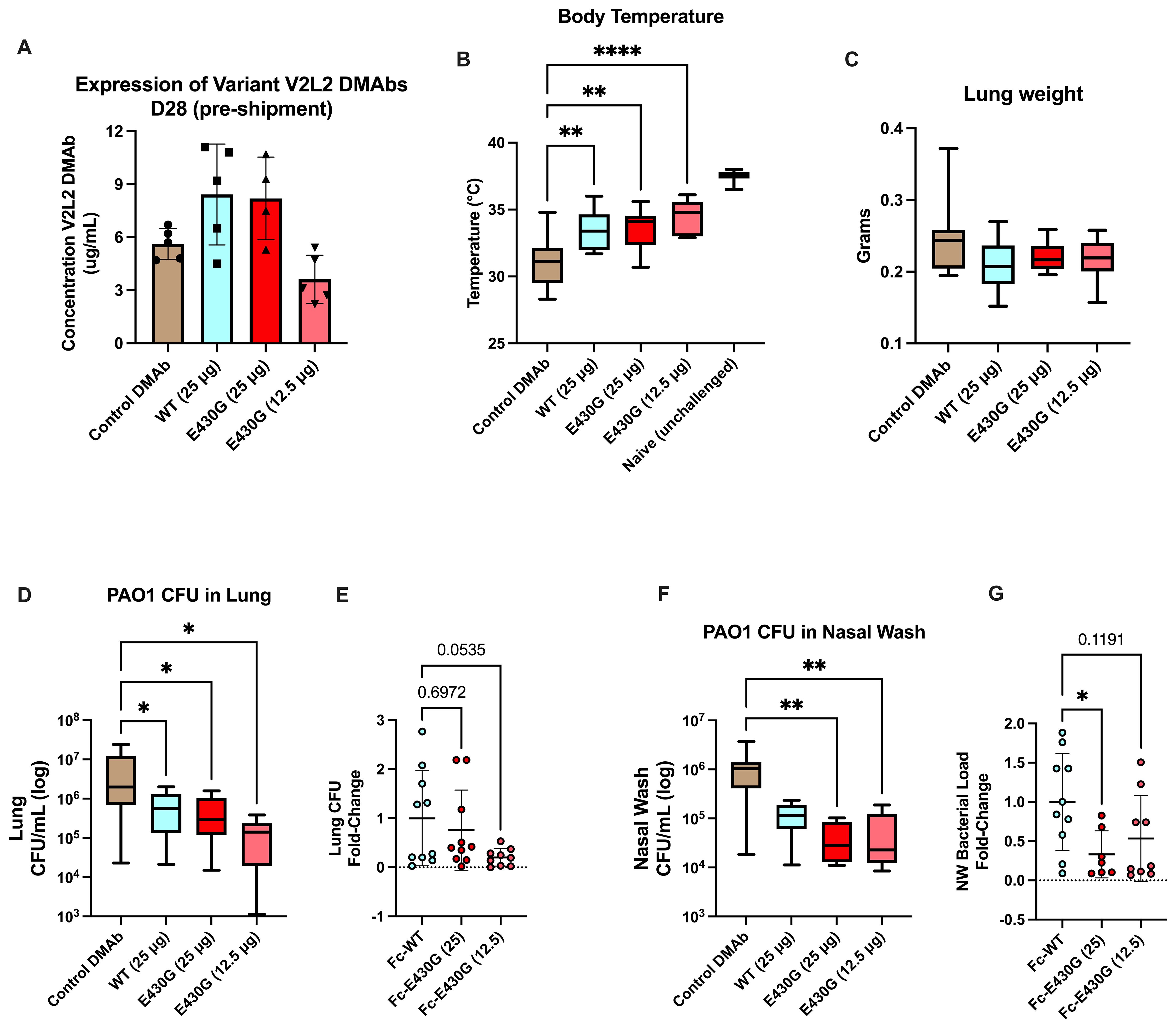 Graphs showing various data from a study on DMAbs (DNA-encoded monoclonal antibodies). A: Bar graph of V2L2 DMAb concentration. B: Box plot of body temperature with significance levels indicated. C: Box plot of lung weight in grams. D: Box plot of PAO1 CFU in lungs on a logarithmic scale. E: Scatter plot of lung CFU fold-change with some significance values. F: Box plot of PAO1 CFU in nasal wash on a logarithmic scale. G: Scatter plot of nasal wash bacterial load fold-change with significance marked. Statistical significance is denoted by asterisks in several graphs.