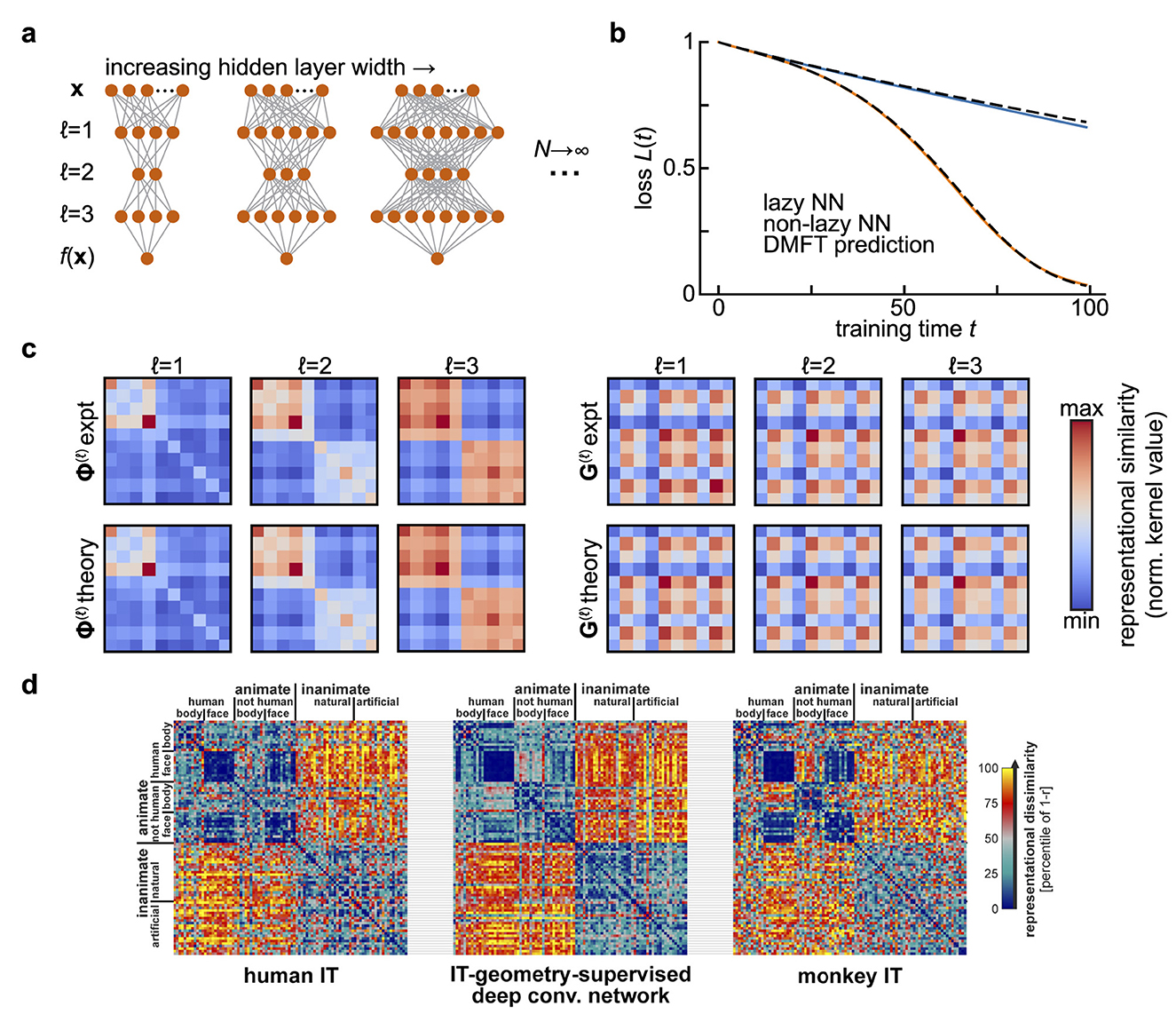 Illustration of neural network analysis. (a) Diagrams show increasing hidden layer width in networks over iterations t equals 1, 2, 3, up to infinity. (b) Graph of loss L(t) versus training time, comparing lazy and non-lazy neural networks with DMFT prediction. (c) Heatmaps depict experimental and theoretical representational similarity at different iterations t. (d) Heatmaps visualize representational dissimilarity in human IT, geometry-supervised deep convolutional network, and monkey IT, categorized by animate or inanimate and human or not human body/face features.