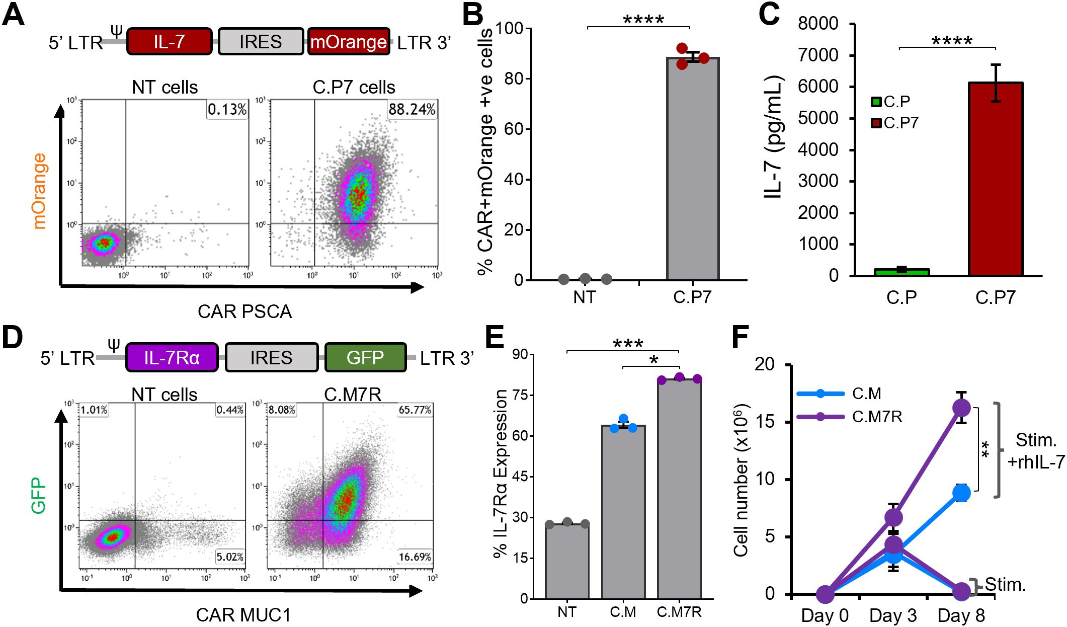 Panel A shows a diagrammatic representation of a vector with IL-7 and mOrange connected via IRES, accompanied by dot plots comparing NT and C.P7 cells for CAR and IL-7, where C.P7 cells show 88.24% mOrange positivity. Panel B is a bar graph indicating higher CAR+mOrange cells in C.P7 compared to NT. Panel C shows IL-7 levels significantly higher in C.P7 cells. Panel D displays a vector with IL-7Rα and GFP linked by IRES, alongside dot plots for NT and C.M7R cells for CAR MUC1, showing 65.77% GFP positivity in C.M7R cells. Panel E highlights varying IL-7Rα expression across cell types. Panel F illustrates cell number growth over eight days, comparing C.M and C.M7R, with significant differences indicated.