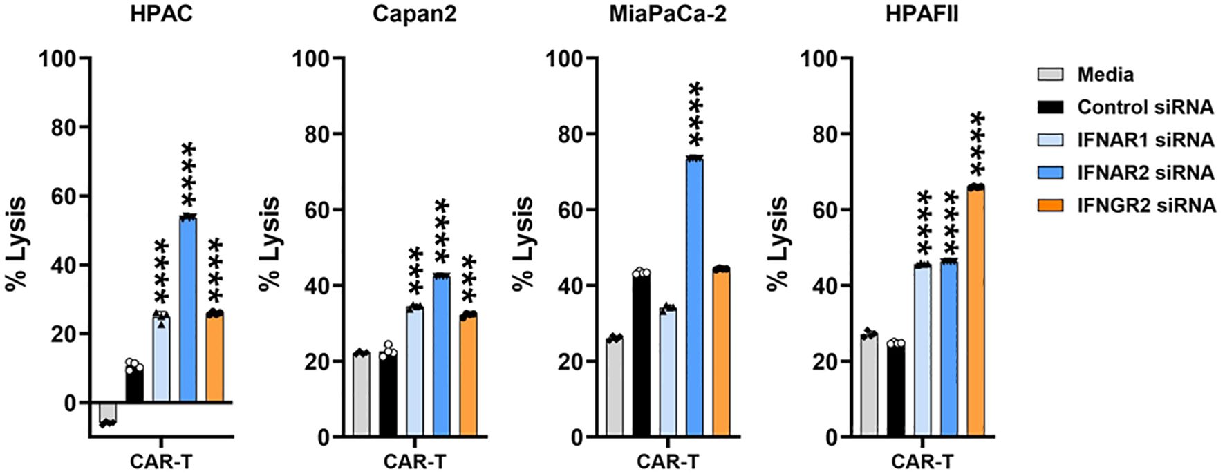 Bar graphs showing percentage lysis in HPAC, Capan2, MiaPaCa-2, and HPAFII cell lines after CAR-T treatment. Bars compare media, control siRNA, IFNAR1 siRNA, IFNAR2 siRNA, and IFNGR2 siRNA. Highest lysis observed with IFNAR2 siRNA in all cell lines.