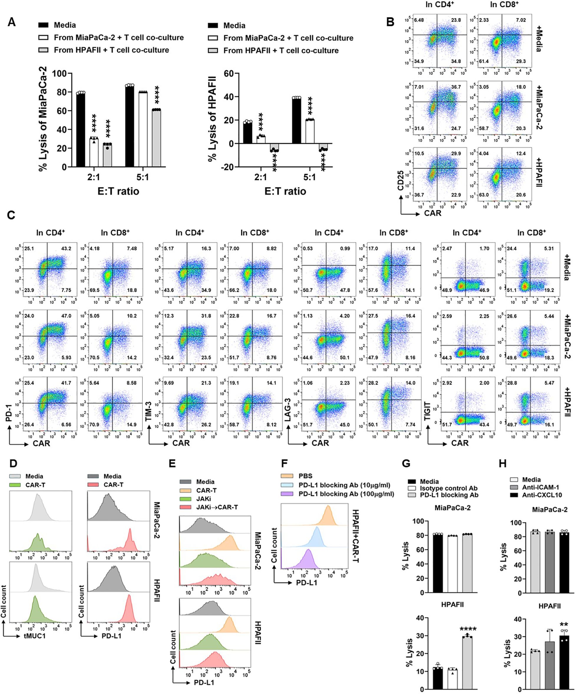 Multiple graphs and flow cytometry plots illustrate experimental data related to cell lysis and immune cell interactions. Panels A-H show various comparisons, including effector-target ratios, CAR expression, and the effects of different treatments, such as blocking antibodies. The data visualizes how treatments impact cell lysis percentages and PD-L1 expression in different cancer cell lines, including MiaPaCa-2 and HP-AFII.