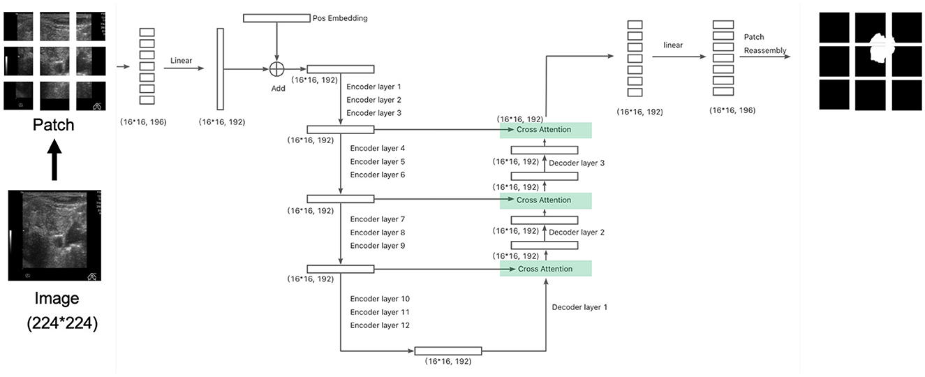 Flowchart of a neural network process. It shows how an image is divided into patches and processed through layers. The patches undergo linear transformations, positional embedding, cross attention, and encoding-decoding through twelve encoder layers and three decoder layers. It illustrates integration of cross attention for feature extraction and final patch reassembly.