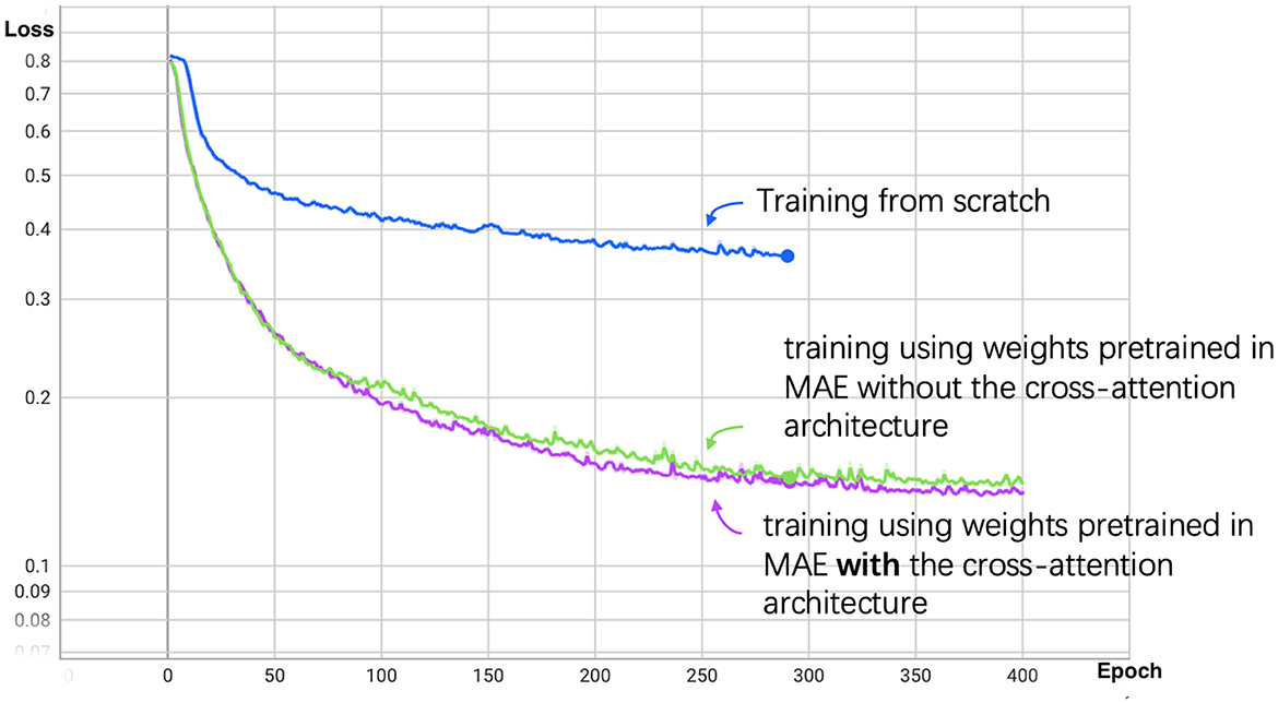 Line graph showing loss versus epoch for three training methods. Blue line: training from scratch, maintaining higher loss. Green line: pretraining without cross-attention, reducing loss. Pink line: pretraining with cross-attention, achieving the lowest loss.