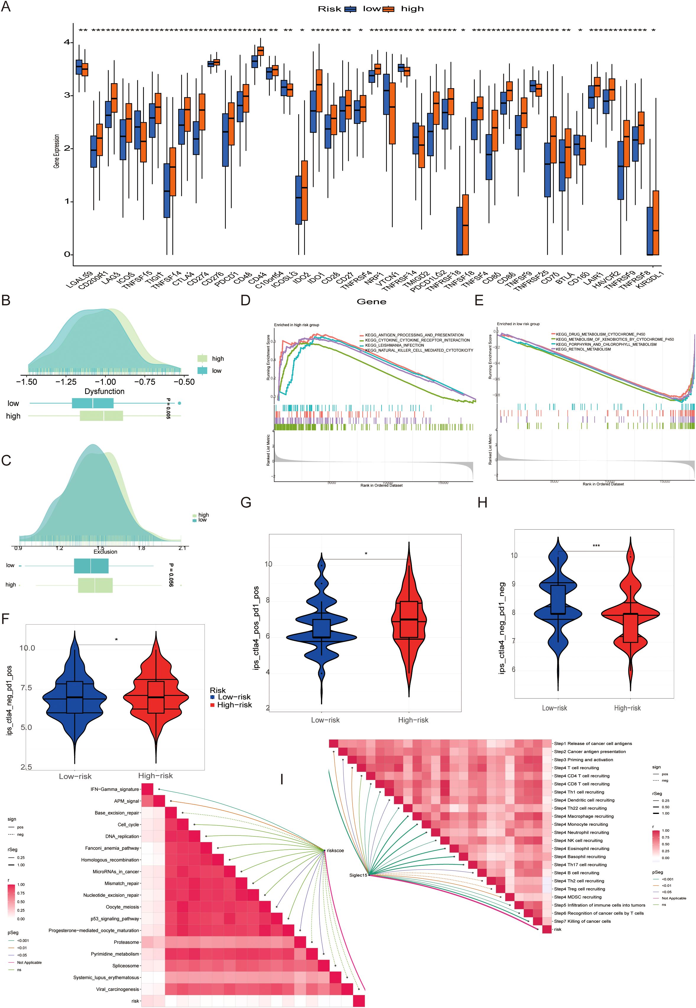 Various plots and charts analyzing gene expression, dysfunction, exclusion, and risk factors. Panel A shows box plots comparing gene expression between low and high risk. Panels B and C display density plots for dysfunction and exclusion scores. Panels D and E feature enrichment plots for genes across risk groups. Panels F, G, and H illustrate violin plots depicting differences in specific variables between low-risk and high-risk groups. Panel I presents a heatmap with hierarchical clustering, showing relationships between different gene sets and pathways. Colors distinguish between low risk (blue) and high risk (red) categories.