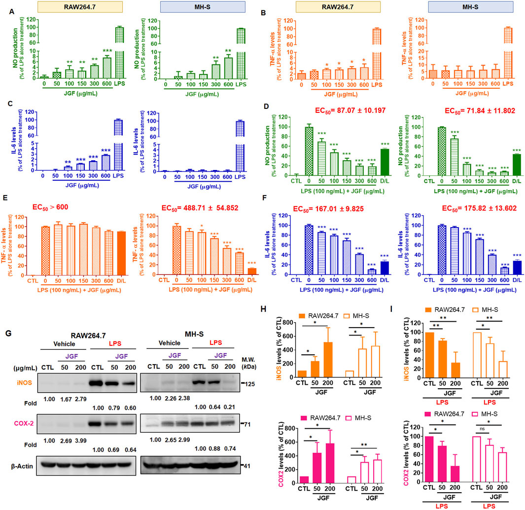 Bar charts and data visualizations depict the effects of JGF on NO production, TNF-α levels, and IL-6 levels in RAW264.7 and MH-S cells, with EC₅₀ values displayed. Panel G shows protein expression of iNOS and COX-2. Panels H and I illustrate the quantification of iNOS and COX-2 levels. Error bars indicate standard deviation, and significant differences are marked by asterisks.