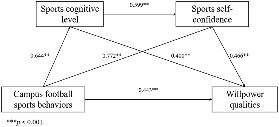 Flowchart depicting relationships between four factors: Sports cognitive level, Sports self-confidence, Campus football sports behaviors, and Willpower qualities. Arrows indicate directions of influence with correlation coefficients: 0.599 between cognitive level and self-confidence, 0.644 between cognitive level and sports behaviors, 0.772 between sports behaviors and self-confidence, 0.400 between sports behaviors and willpower, and 0.466 between self-confidence and willpower.