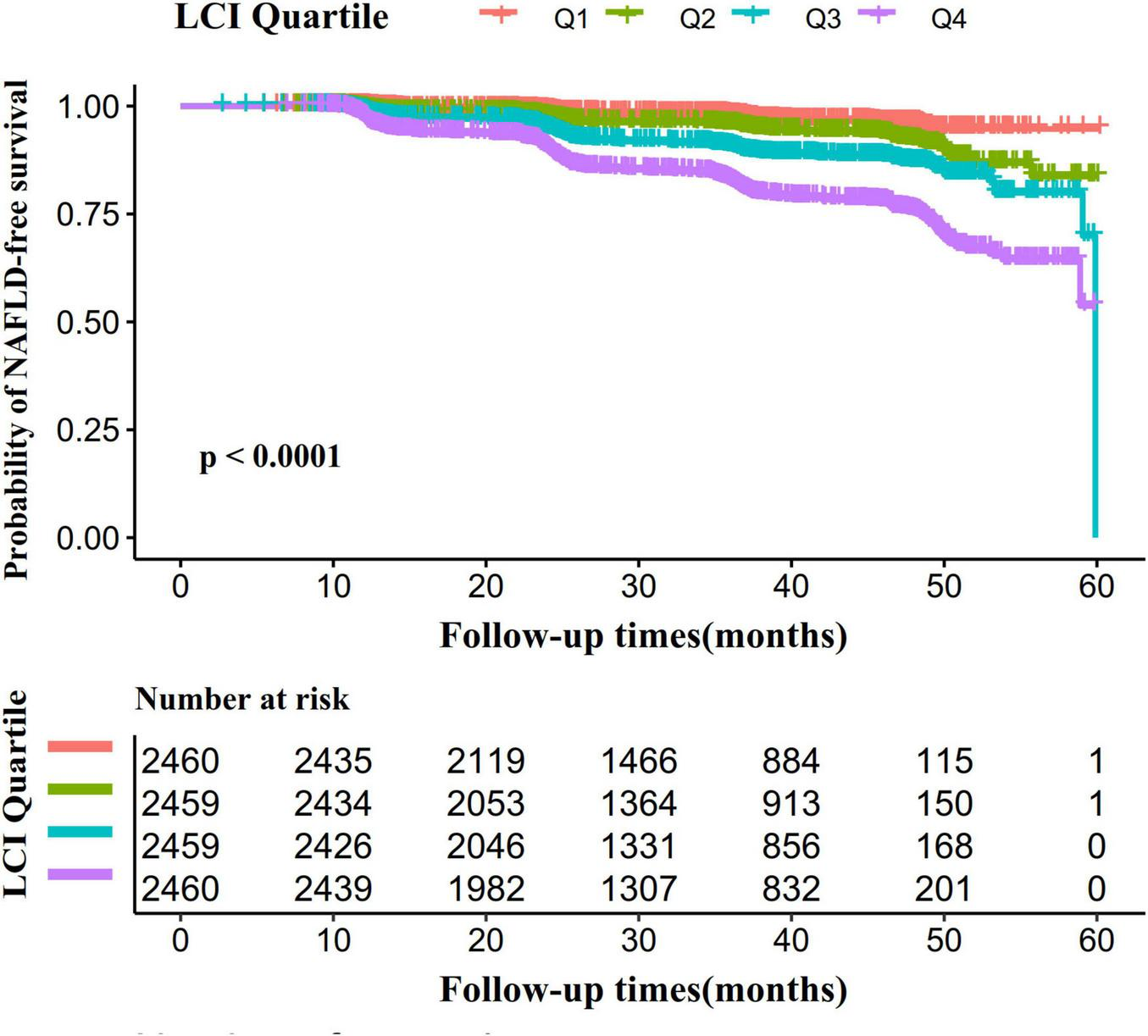 Kaplan-Meier survival curve showing the probability of NAFLD-free survival over 60 months for different LCI quartiles (Q1 to Q4). The x-axis represents follow-up time in months, and the y-axis shows survival probability. Quartiles are color-coded: Q1 (red), Q2 (green), Q3 (blue), and Q4 (purple). The p-value is less than 0.0001, indicating statistical significance. A table below the graph lists the number of participants at risk at different time points for each quartile.
