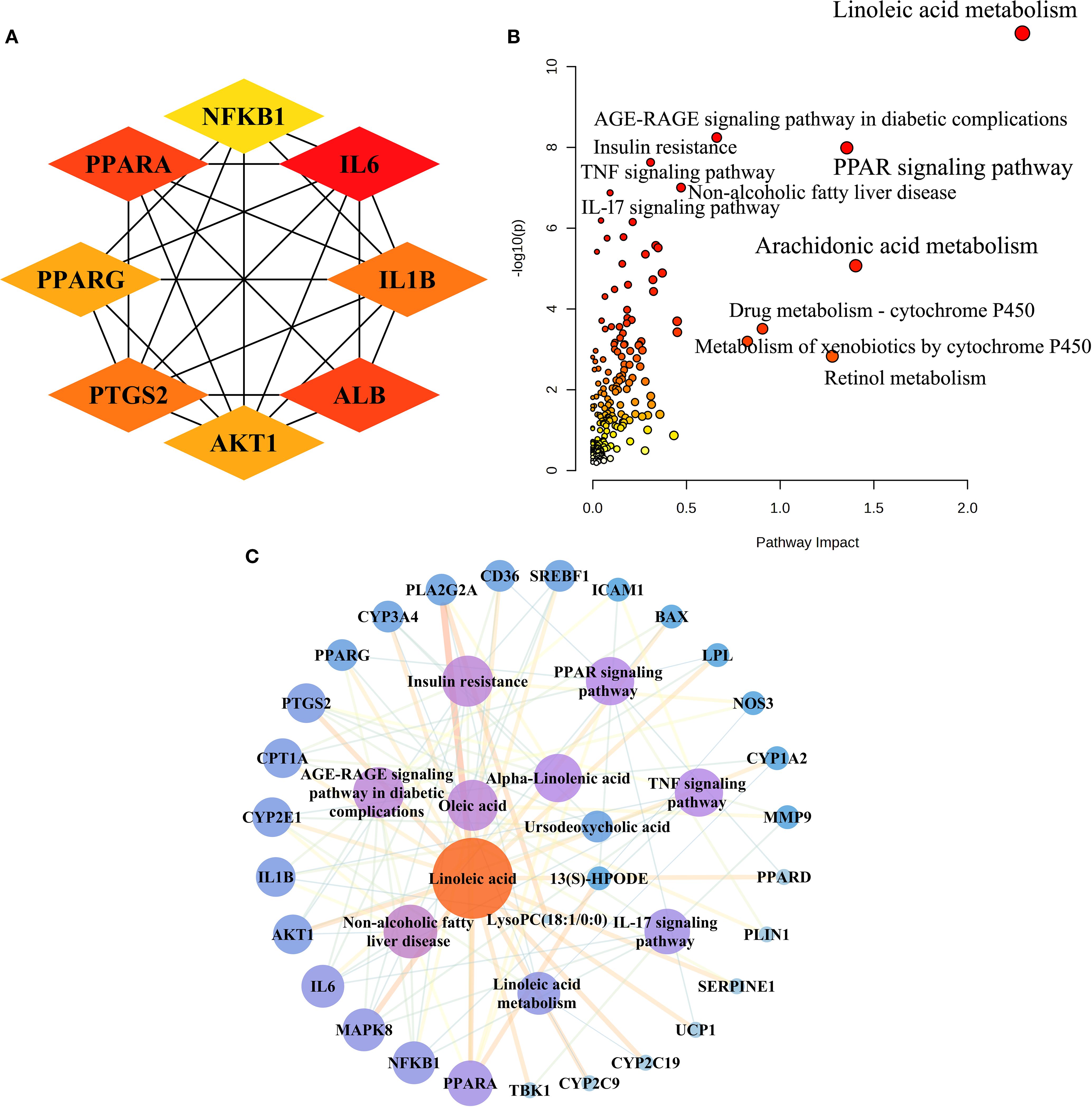 Diagram with three panels: (A) displays a network of genes and proteins involved in diabetic metabolism, represented by interconnected hexagons with color gradients from yellow to red. (B) shows a scatter plot highlighting pathways like AGE-RAGE, arachidonic acid metabolism, and PPAR signaling, indicating pathway impact and significance. (C) presents a complex network of interactions among metabolites and signaling pathways involved in diabetes, featuring nodes like insulin resistance and arachidonic acid metabolism, linked by lines of varying thickness.