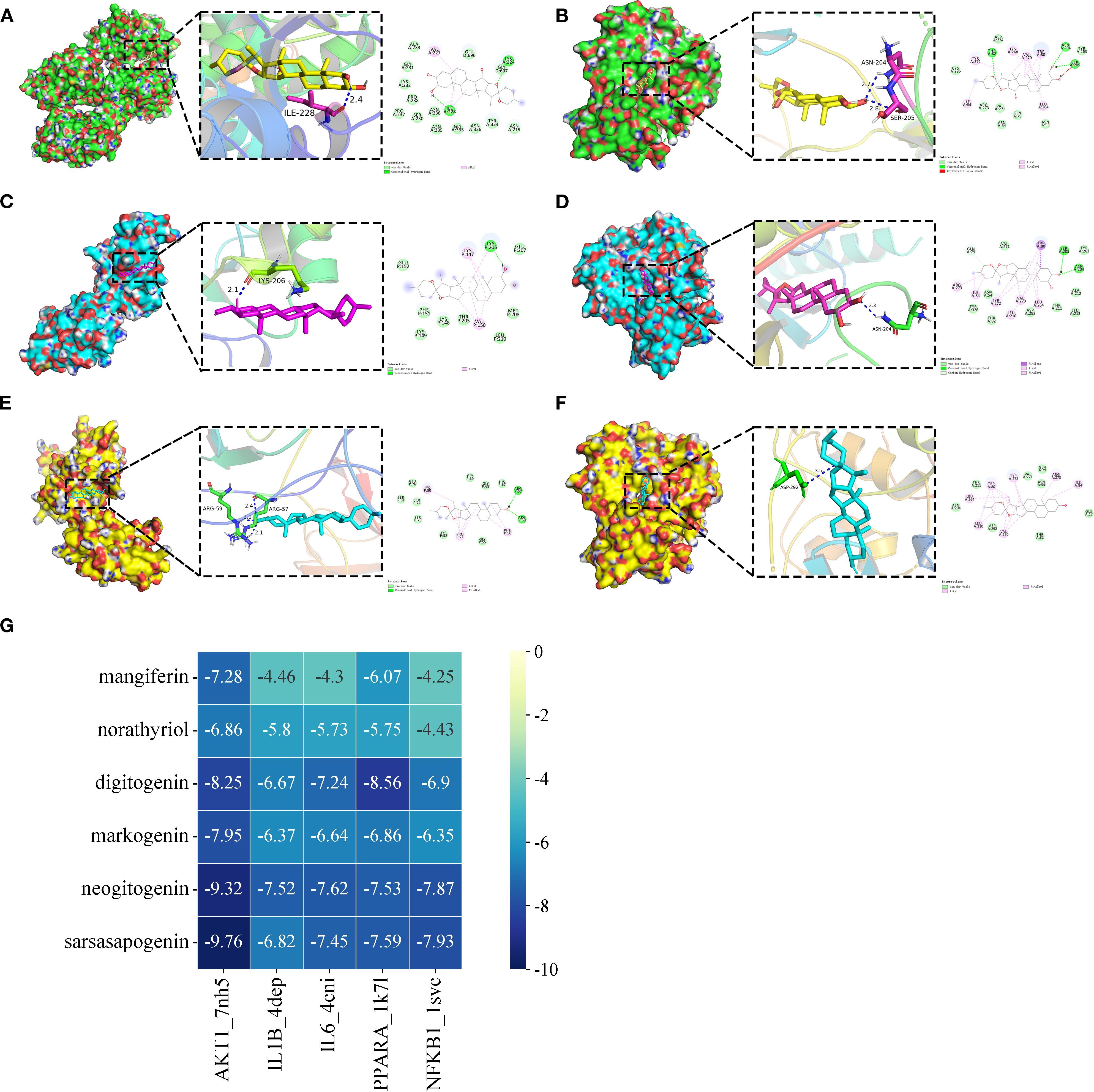 Six molecular docking visualizations (A-F) show different ligands interacting with protein surfaces, each featuring zoomed-in details and chemical structures. The diagrams illustrate bonds and molecular interactions. The chart (G) presents binding affinity scores of six compounds across six target proteins, color-coded from light to dark blue, indicating affinity strength.
