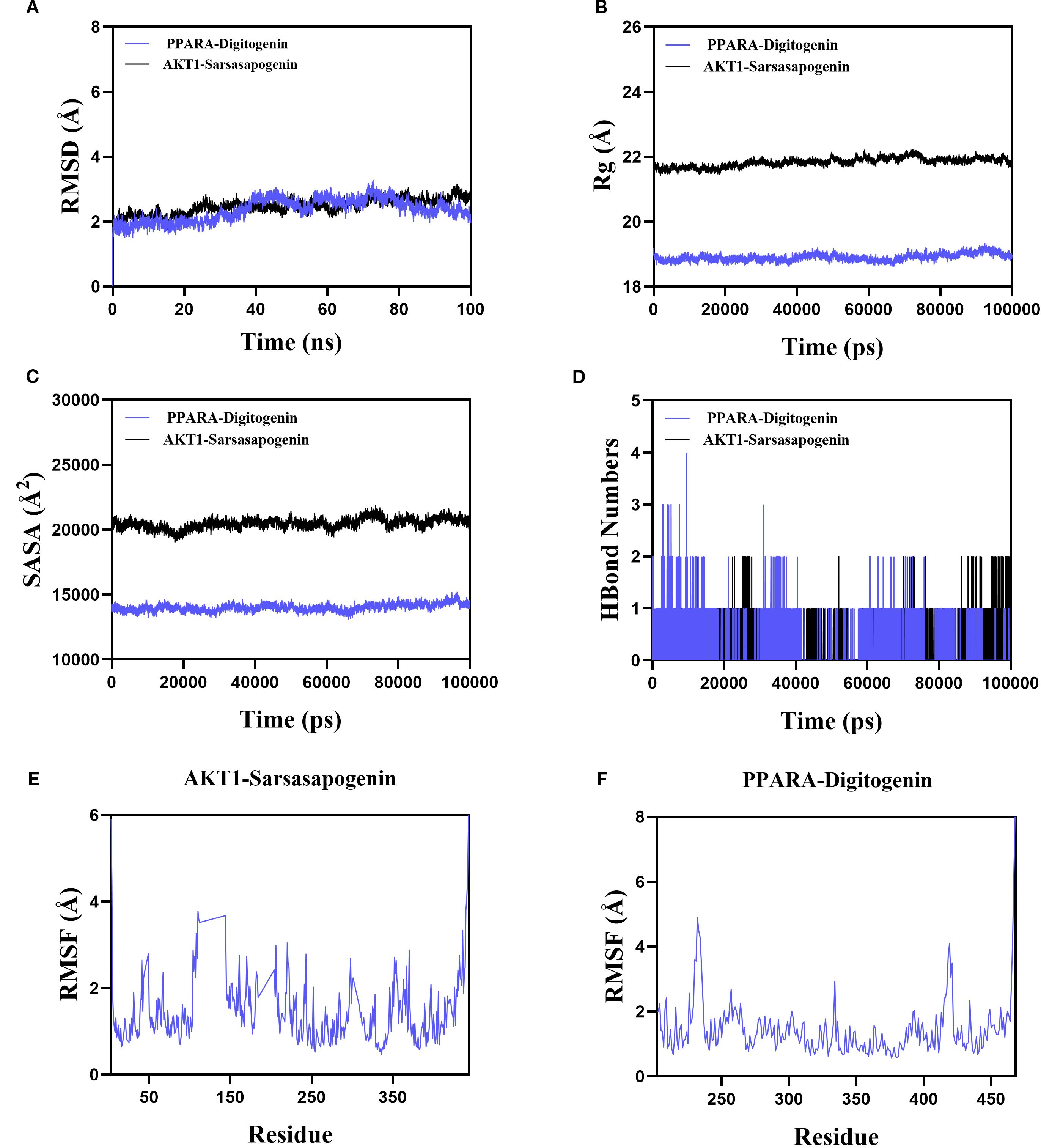 Graphs showing molecular dynamics simulations for PPARA-Digitogenin and AKT1-Sarsasapogenin. (A) RMSD vs. Time (ns), (B) Rg vs. Time (ps), (C) SASA vs. Time (ps), (D) Hydrogen Bond Numbers vs. Time (ps). Each line represents a different compound interaction. (E) RMSF for AKT1-Sarsasapogenin vs. Residue, (F) RMSF for PPARA-Digitogenin vs. Residue. The graphs show fluctuations and interactions over time.