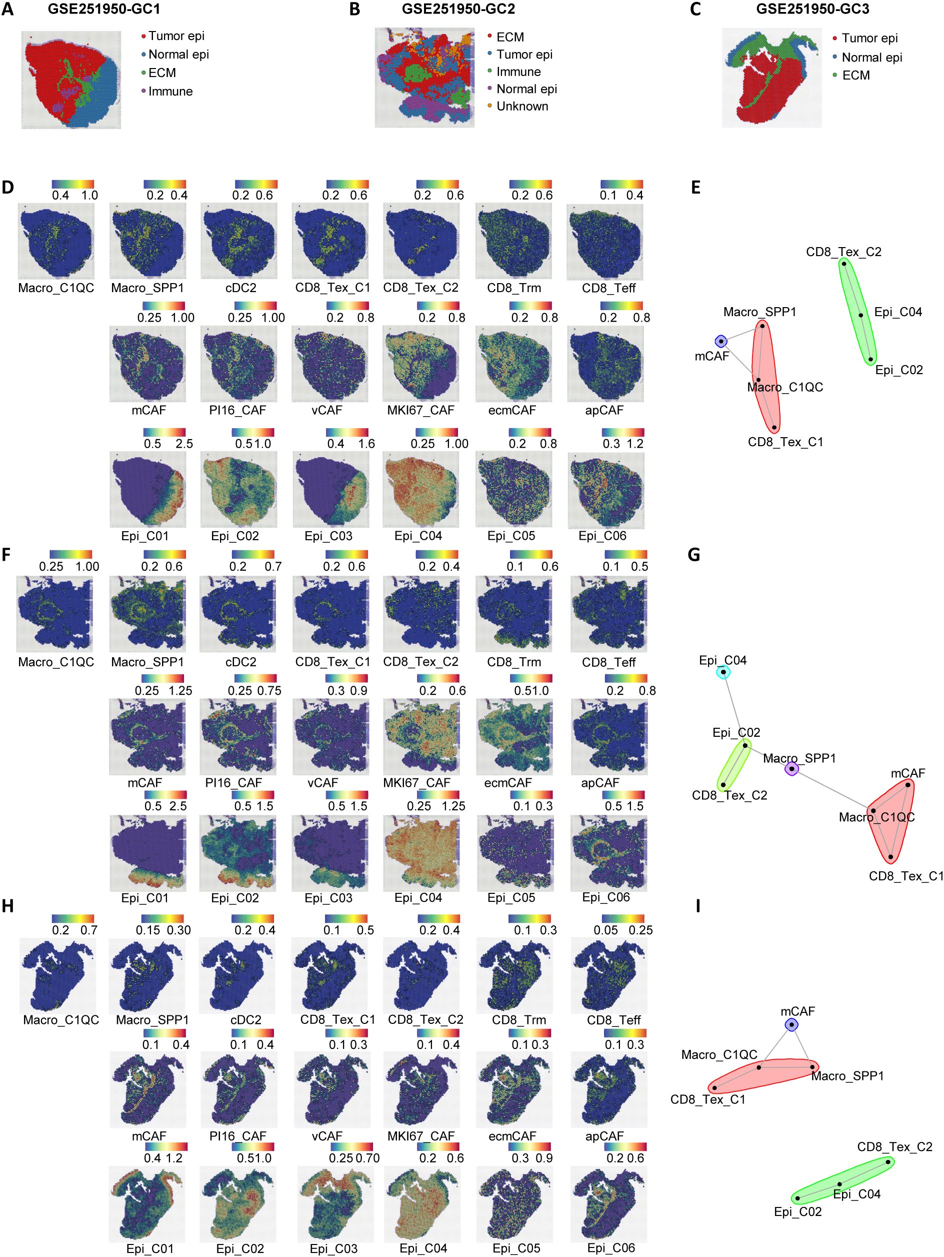Panels A, B, and C show spatial tissue maps with color-coded regions including tumor epithelium, normal epithelium, ECM, and immune cells. Panels D, F, and H present grids of tissue images showing various markers with intensity scales. Panels E, G, and I display network diagrams linking cell types based on interactions. Each panel highlights different data aspects from samples GSE251950-GC1 to GC3.