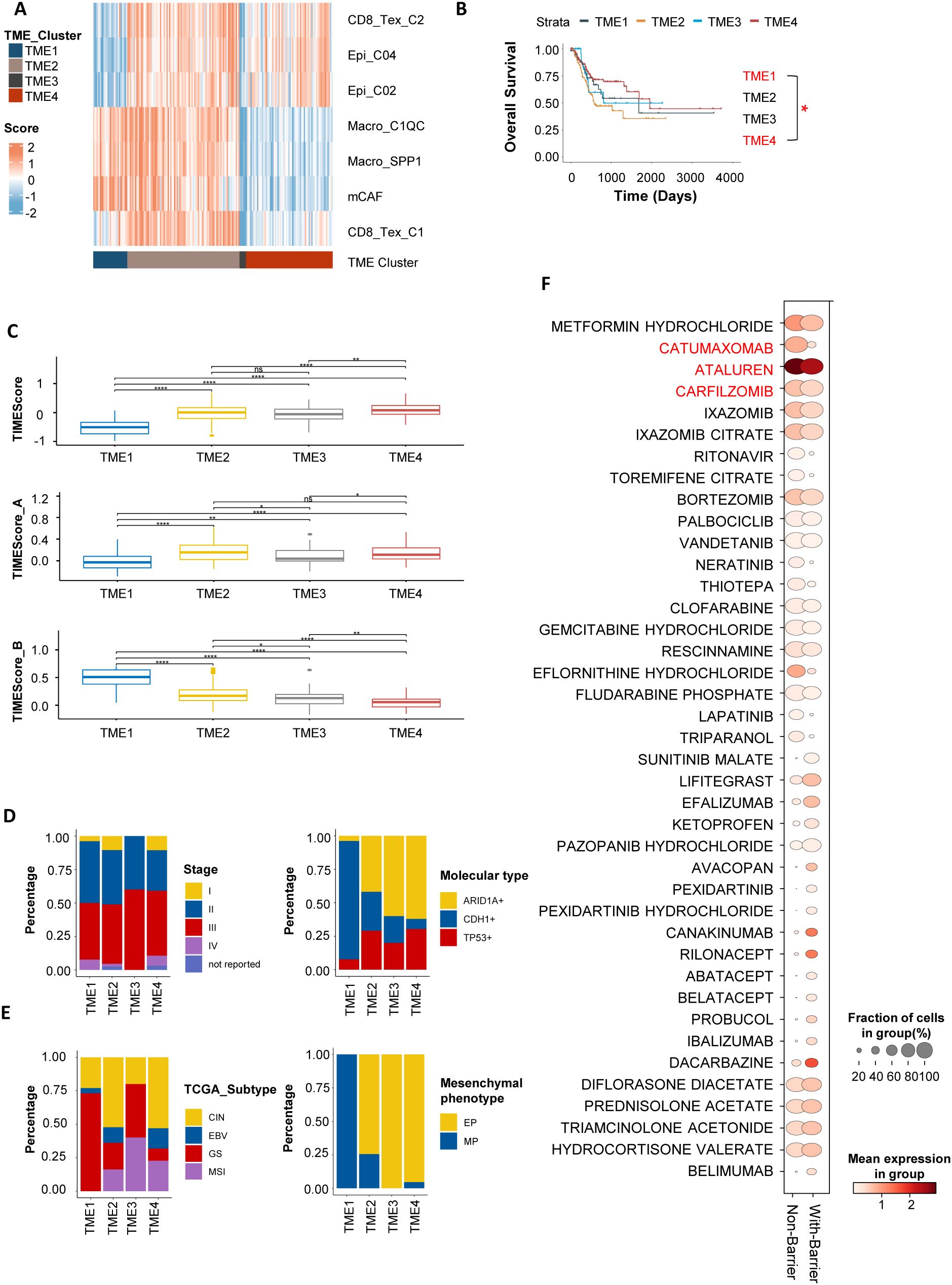 Diagram illustrating multiple analyses of TME clusters in cancer research. Part A shows a heatmap with clusters TME1 to TME4. Part B displays a Kaplan-Meier survival curve for overall survival. Part C features box plots comparing TIME scores across clusters. Part D includes bar graphs depicting stage and molecular types. Part E presents TCGA subtypes and mesenchymal phenotypes. Part F is a bubble chart evaluating drug responses, with drug names and expression levels. Clusters and stages are color-coded, emphasizing significant differences and correlations.