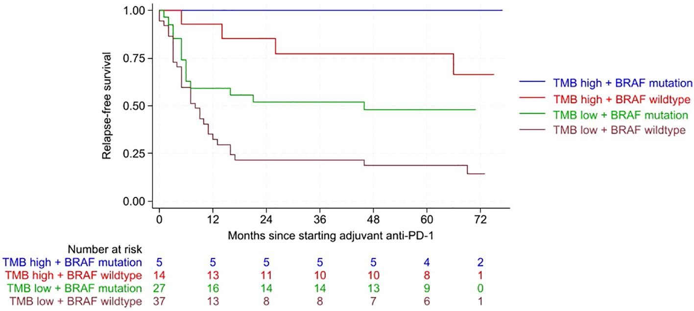Kaplan-Meier survival curve showing relapse-free survival across different patient groups. Four lines represent groups: high TMB with BRAF mutation (blue), high TMB with BRAF wildtype (red), low TMB with BRAF mutation (green), and low TMB with BRAF wildtype (brown). The X-axis shows months since starting adjuvant anti-PD-1 therapy, while the Y-axis indicates relapse-free survival probability. A table below details the number at risk over time for each group.