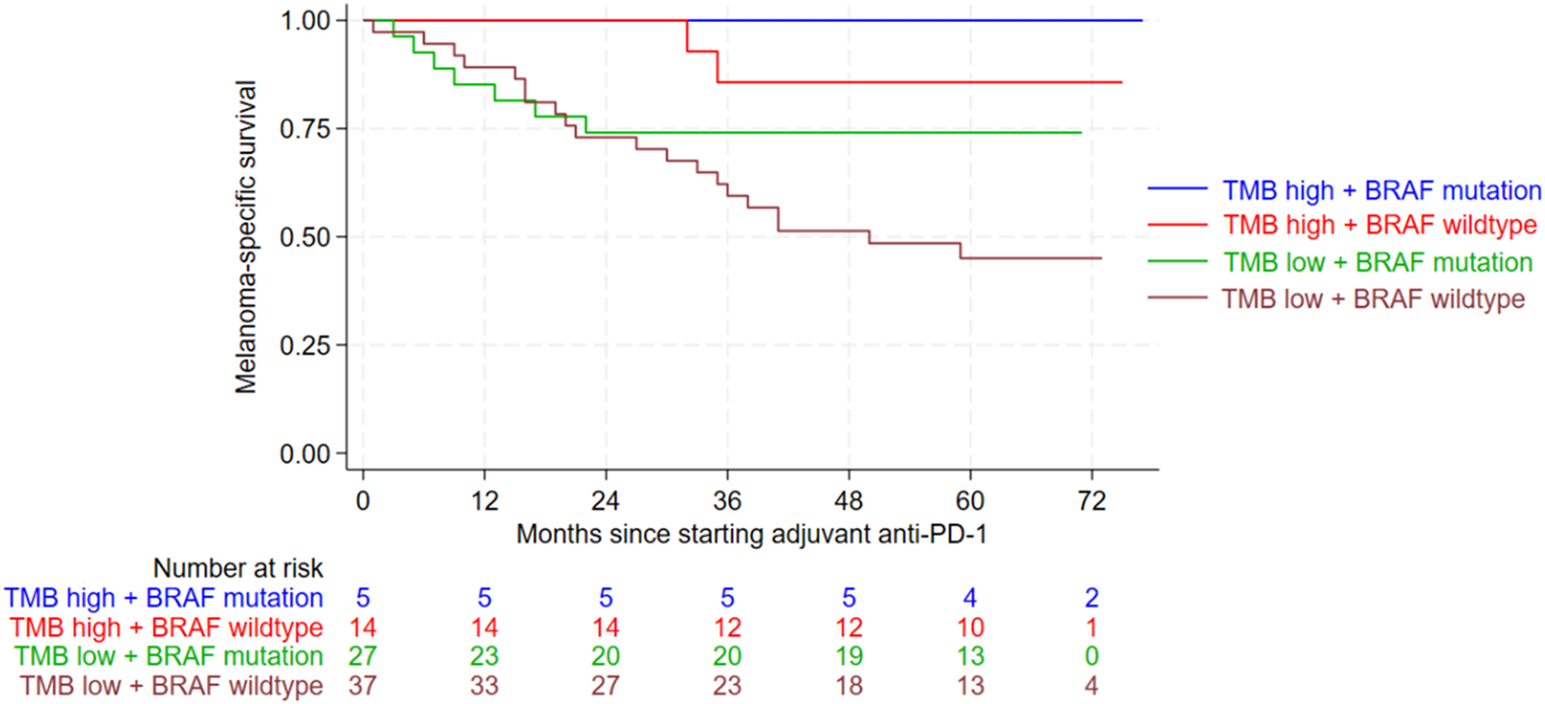 Kaplan-Meier survival curve shows melanoma-specific survival over months since starting adjuvant anti-PD-1 therapy. Four groups are compared: TMB high + BRAF mutation (blue), TMB high + BRAF wildtype (red), TMB low + BRAF mutation (green), TMB low + BRAF wildtype (brown). The number at risk is listed below for each group.