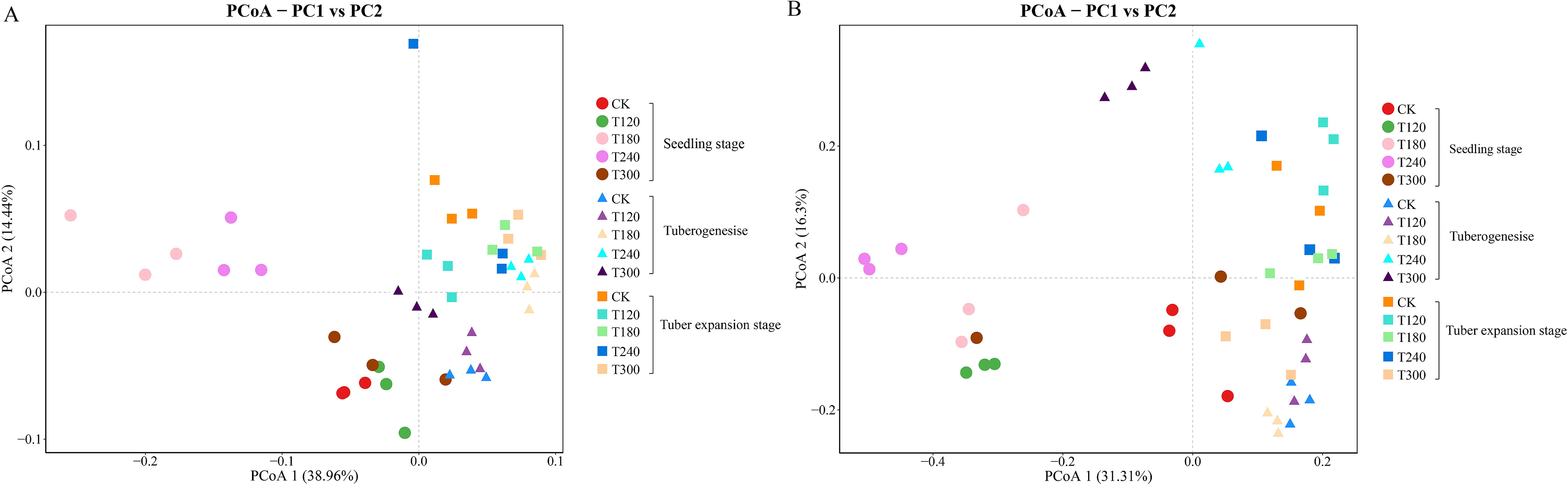 Two scatter plots labeled A and B illustrate PCoA analyses showing the relationship between PC1 and PC2 at various stages: seedling, tuberogenesis, and tuber expansion. Different shapes and colors represent stages and conditions (CK, T120, T180, T240, T300), with PC1 and PC2 accounting for various percentages (A: 38.96% and 14.44%, B: 31.31% and 16.3%).
