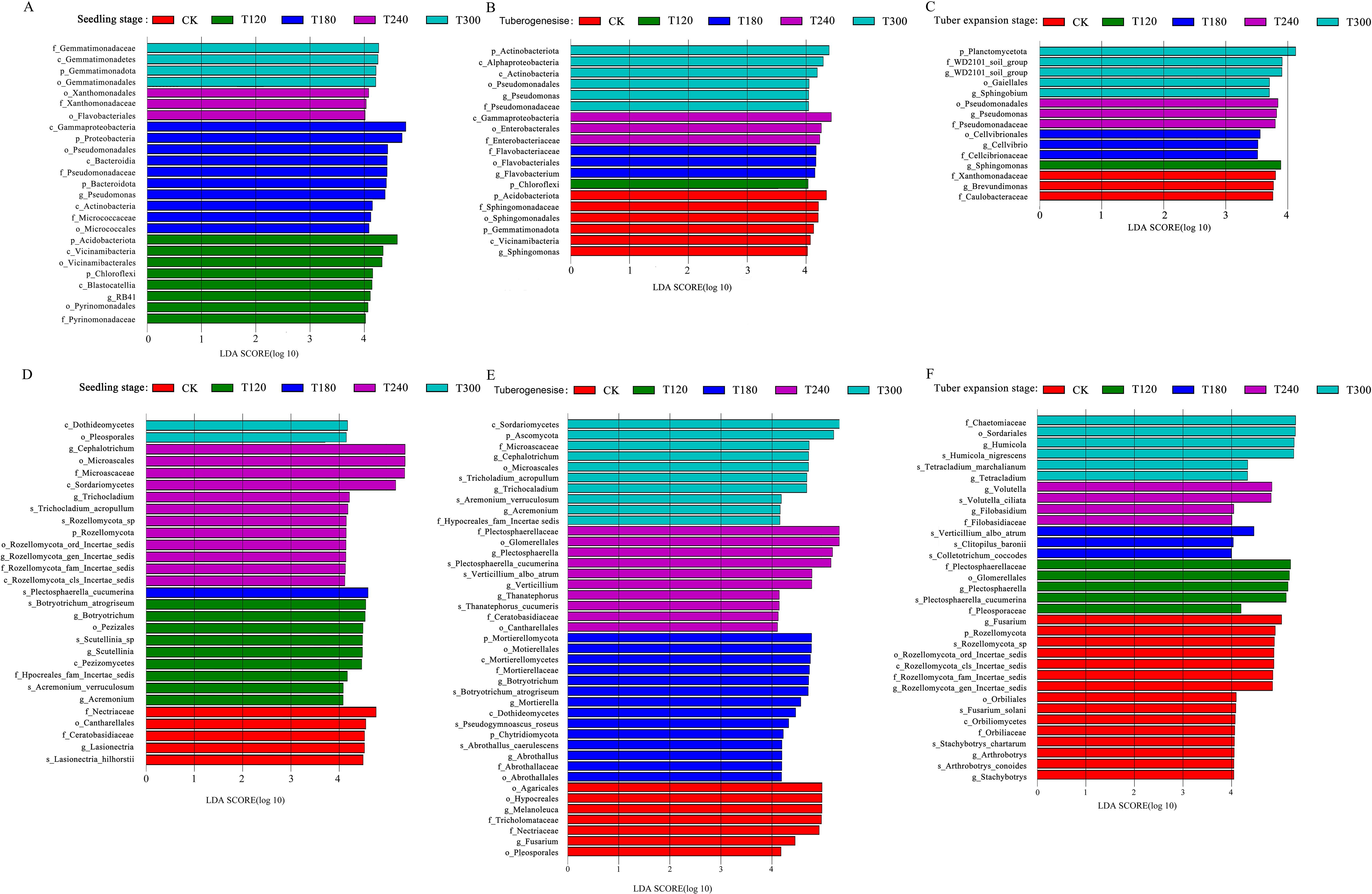 Six horizontal bar charts (A-F) display LDA scores of different bacterial and fungal taxa at various growth stages: seedling (A, D), tuberogenesis (B, E), and tuber expansion (C, F). Each chart uses colors to represent treatments: CK, T120, T180, T240, and T300. Taxa are listed on the y-axis, and LDA scores (log 10) are on the x-axis. The charts illustrate the relative abundance of specific taxa across different treatments.