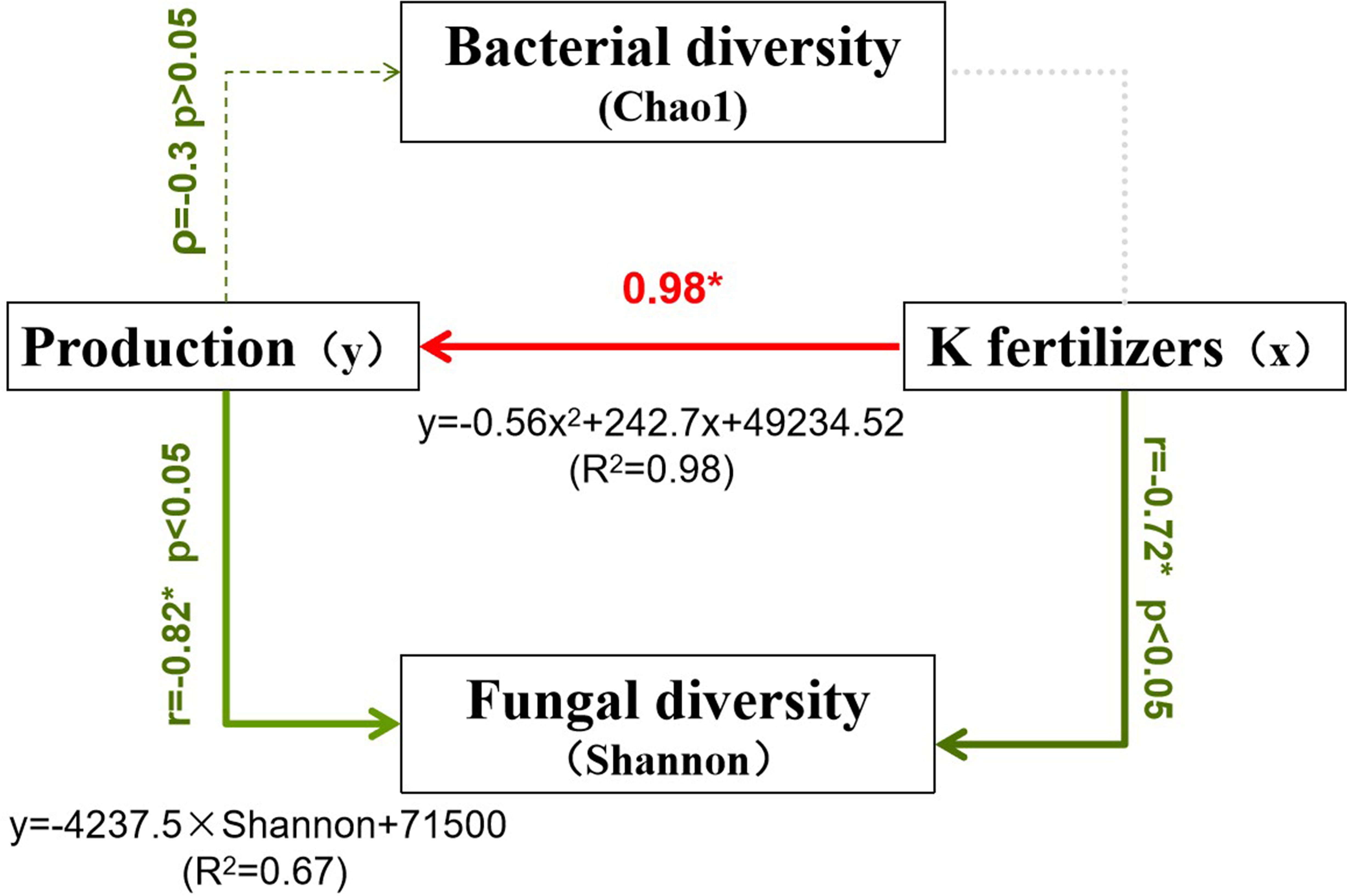 Diagram illustrating relationships between bacterial diversity, fungal diversity, K fertilizers, and production. Arrows indicate influence: K fertilizers positively affect production (r=0.98), and fungal diversity (r=0.72, p<0.05). Bacterial diversity influences production (r=0.3, p<0.05) and fungal diversity positively affects production (r=0.82, p<0.05). Equations model these relationships with high R squared values.