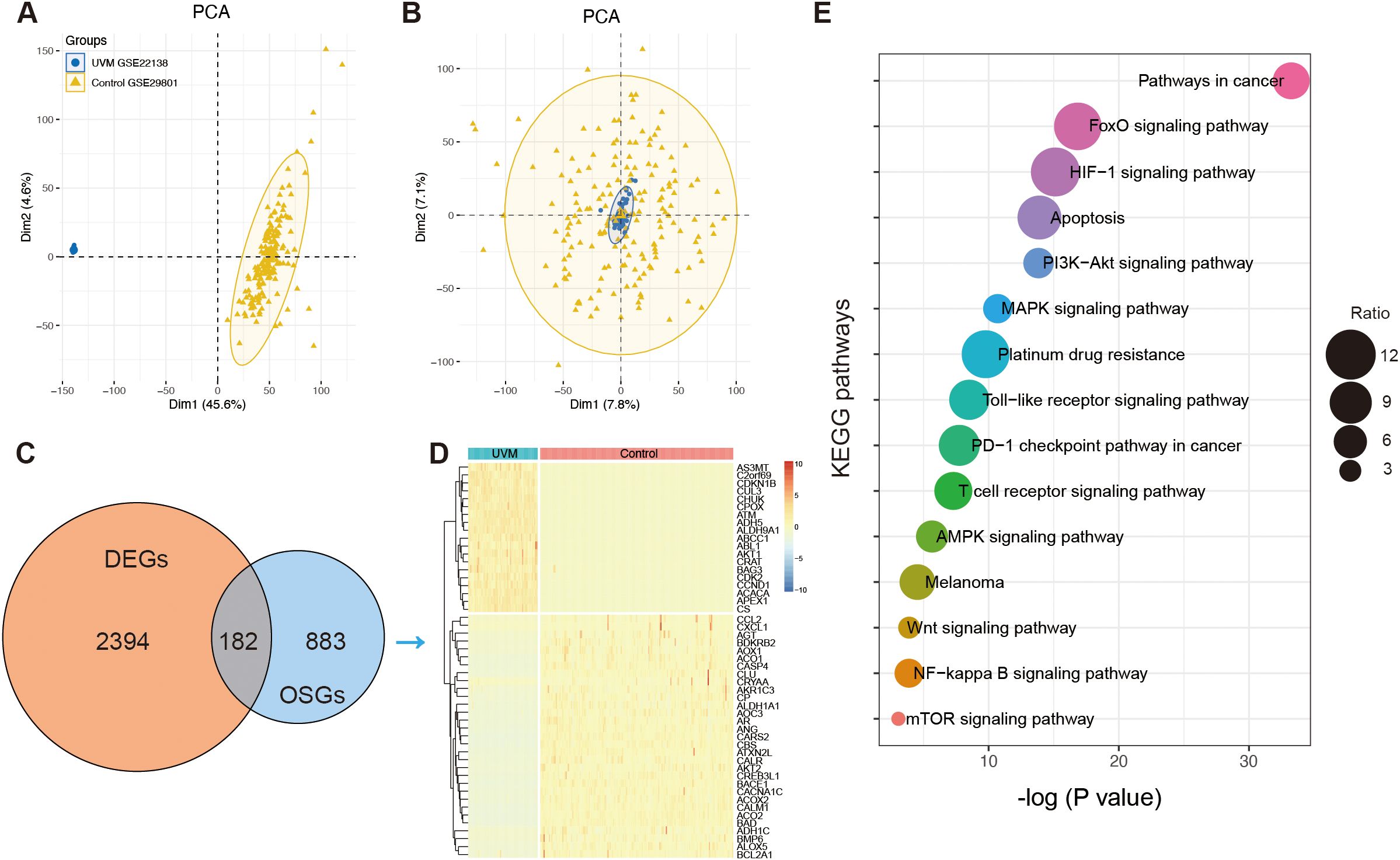 Panel A and B show PCA charts differentiating UVM and control groups with distinct clusters. Panel C presents a Venn diagram comparing differentially expressed genes (DEGs) and oxidation-sensitive genes (OSGs), highlighting 182 overlapping genes. Panel D displays a heatmap of gene expression levels, with distinctions between UVM and control groups. Panel E illustrates a bubble chart of enriched KEGG pathways, showing significance levels for pathways like cancer, signaling, and apoptosis.