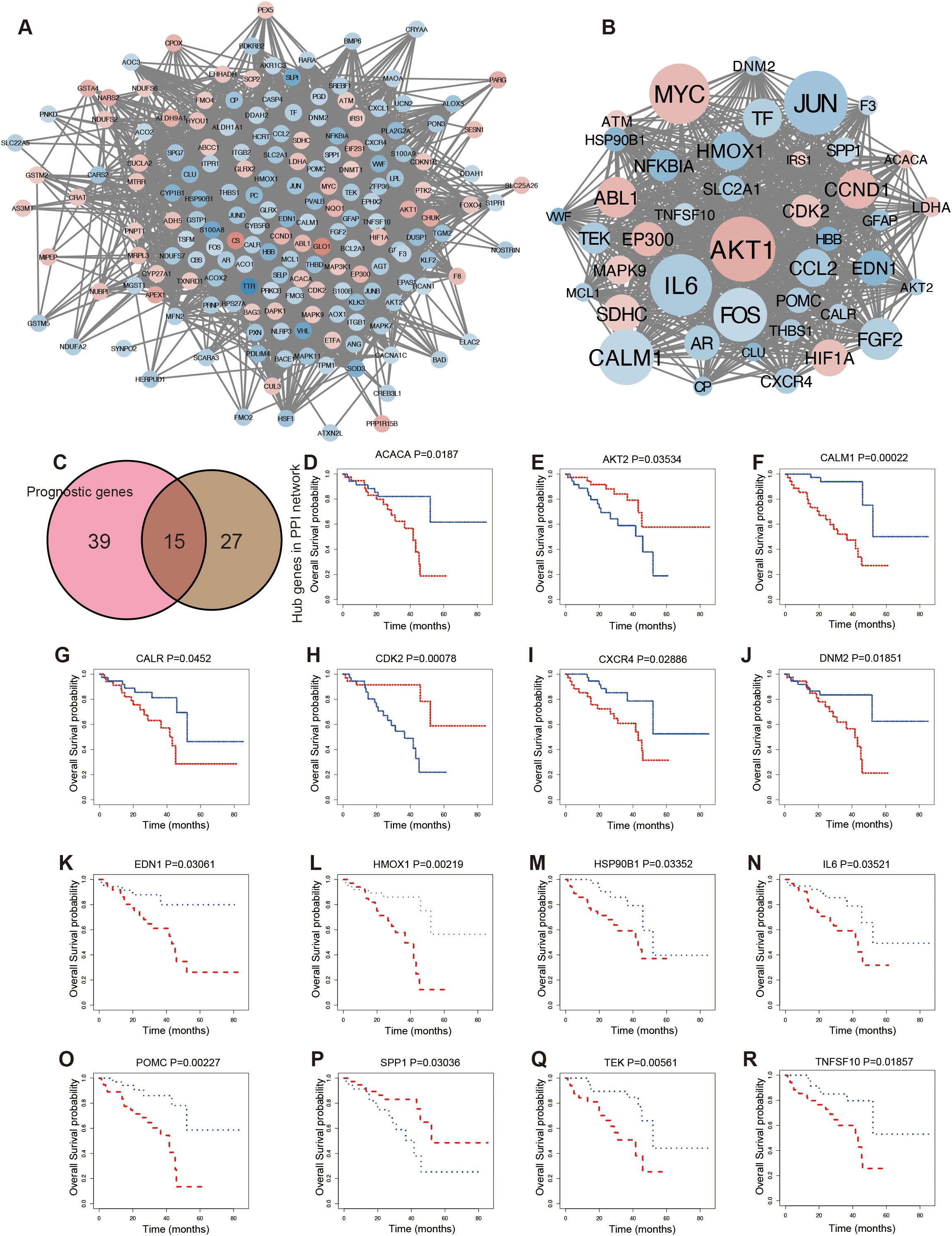 Network diagram and survival probability graphs in cancer research: (A) and (B) show protein-protein interaction networks with nodes representing genes. (C) is a Venn diagram of prognostic and hub genes. (D) to (R) display Kaplan-Meier plots for various genes, showing overall survival probabilities with statistical significance (P-values).