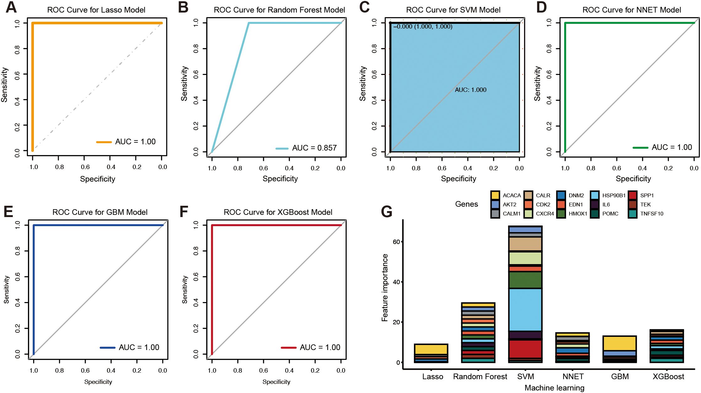 ROC curves and feature importance for various machine learning models. Panels A-F display ROC curves for Lasso (AUC=1.00), Random Forest (AUC=0.857), SVM (AUC=1.00), NNET (AUC=1.00), GBM (AUC=1.00), and XGBoost (AUC=1.00). Panel G shows a bar graph of gene feature importance across models. Each bar is color-coded for specific genes, including ACACA, CALR, AKT2, and others.