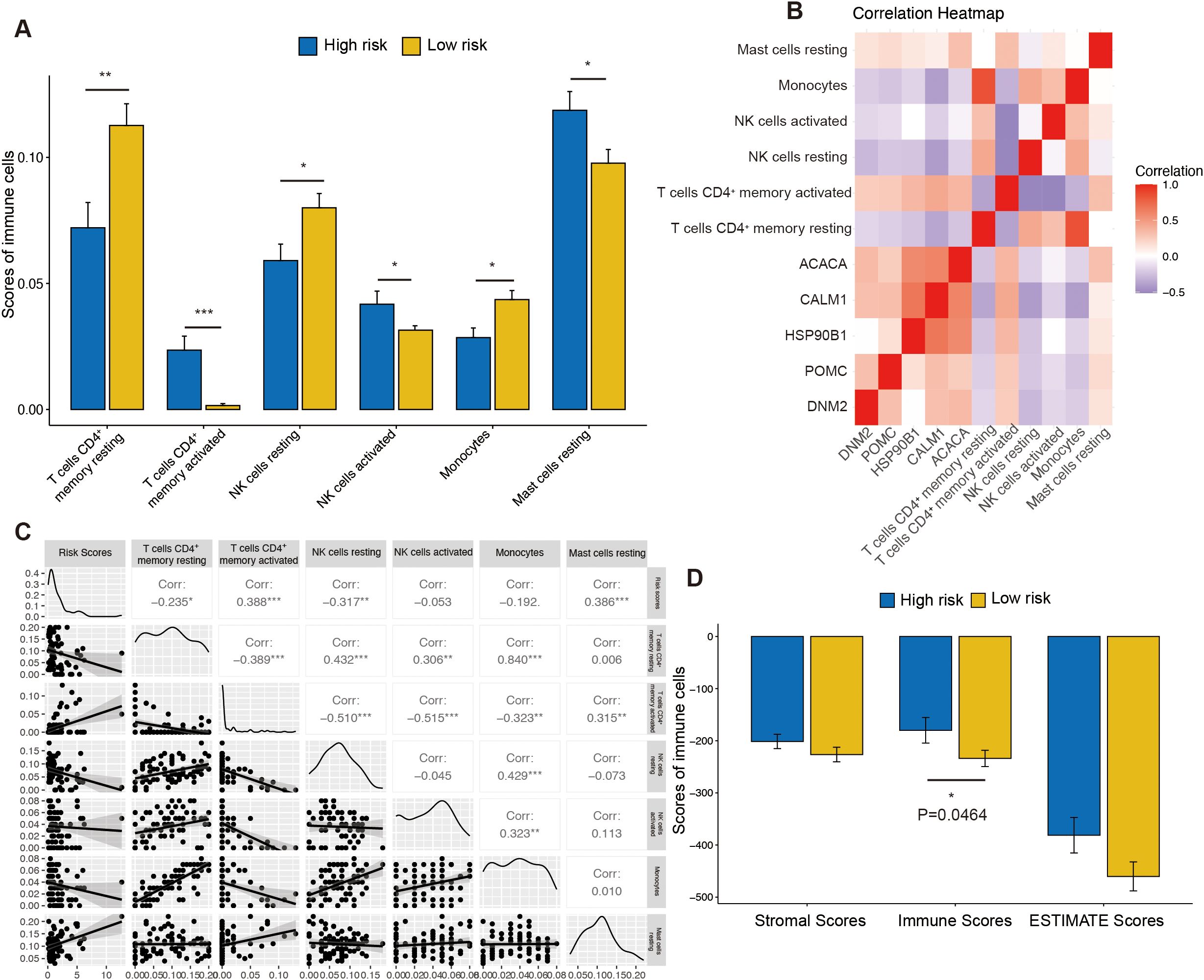 Panel A shows bar graphs comparing immune cell scores between high-risk and low-risk groups, with significant differences marked. Panel B is a correlation heatmap of immune cells with various markers. Panel C displays scatter plots with correlation coefficients for different variables related to risk scores and immune cells. Panel D presents bar graphs of stromal, immune, and ESTIMATE scores, noting a significant difference in immune scores between high-risk and low-risk groups.