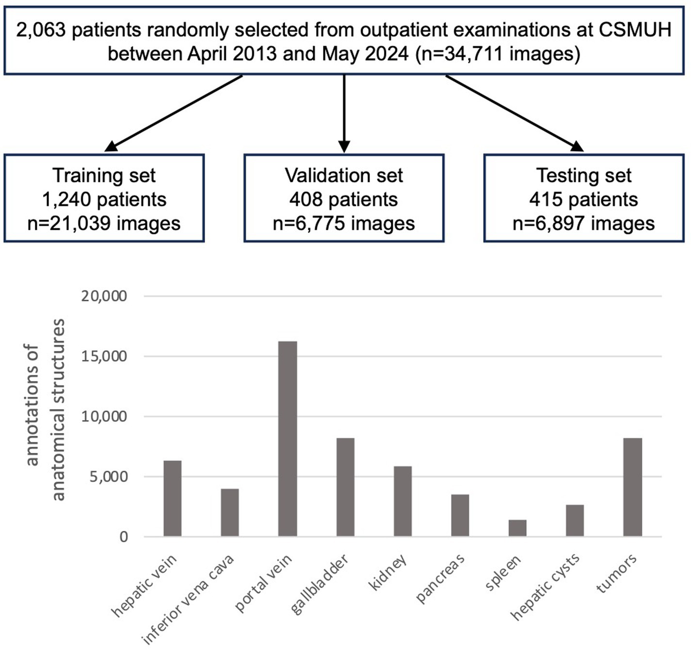 Flowchart and bar graph displaying data from 2,063 patients divided into training, validation, and testing sets. The training set includes 1,240 patients with 21,039 images; the validation set has 408 patients with 6,775 images; the testing set has 415 patients with 6,897 images. The bar graph shows annotations of anatomical structures, with the gallbladder and portal vein having the highest annotations, followed by the kidney and tumors.
