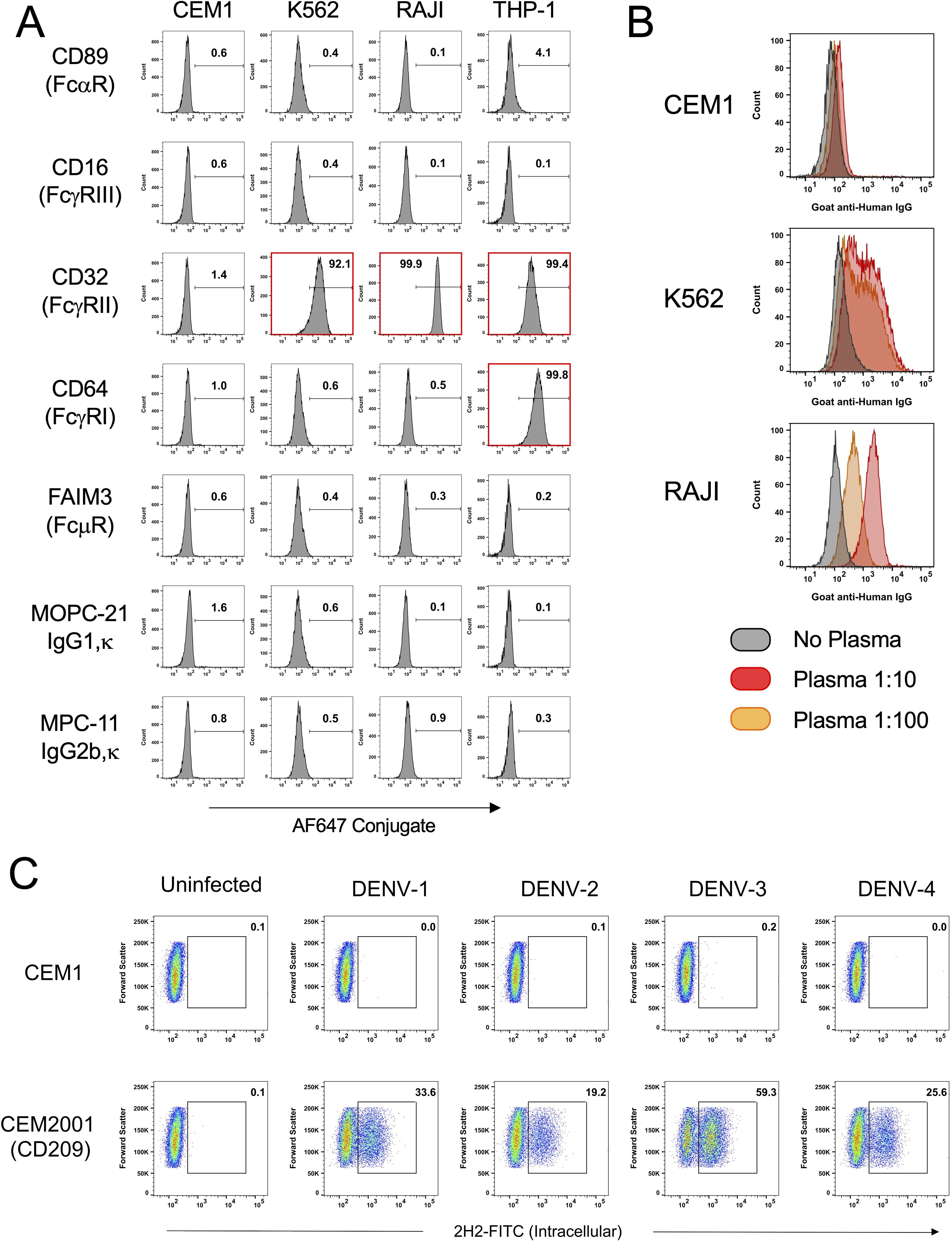 Flow cytometry analysis of receptor expression and viral infection on different cell lines. Panel A shows histograms of CD89, CD16, CD32, CD64, FAIM3, MOPC-21 IgG1, and MPC-11 IgG2b across cell lines CEM1, K562, RAJI, and THP-1, highlighting variations in receptor expression. Panel B displays histograms comparing plasma dilution effects on CEM1, K562, and RAJI using goat anti-human IgG. Panel C illustrates scatter plots of uninfected and dengue virus-infected CEM1 and CEM2001 cells, demonstrating intracellular staining with 2H2-FITC conjugate.