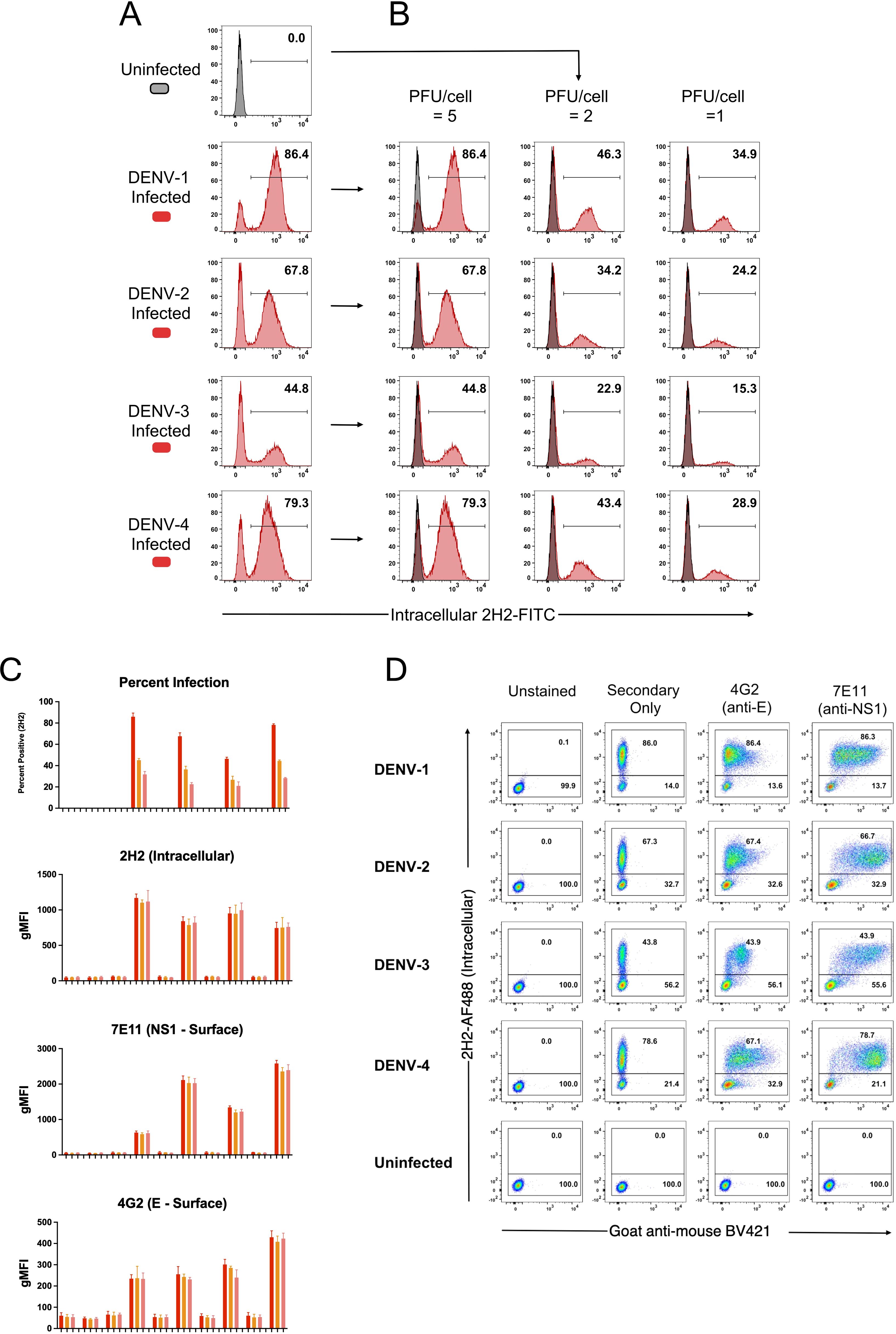 Flow cytometry analysis of DENV infection. Panel A shows histograms of uninfected and DENV-1 to DENV-4 infected cells using intracellular 2H2-FITC staining. Panel B shows varying PFU per cell ratios affecting infection rates. Panel C includes bar graphs detailing percent infection and gMFI for 2H2, 7E11, and 4G2 markers. Panel D presents scatter plots of DENV infection, comparing unstained, secondary only, anti-E (4G2), and anti-NS1 (7E11) conditions with 2H2-AF488 staining, showcasing differences across DENV-1 to DENV-4 and uninfected controls.