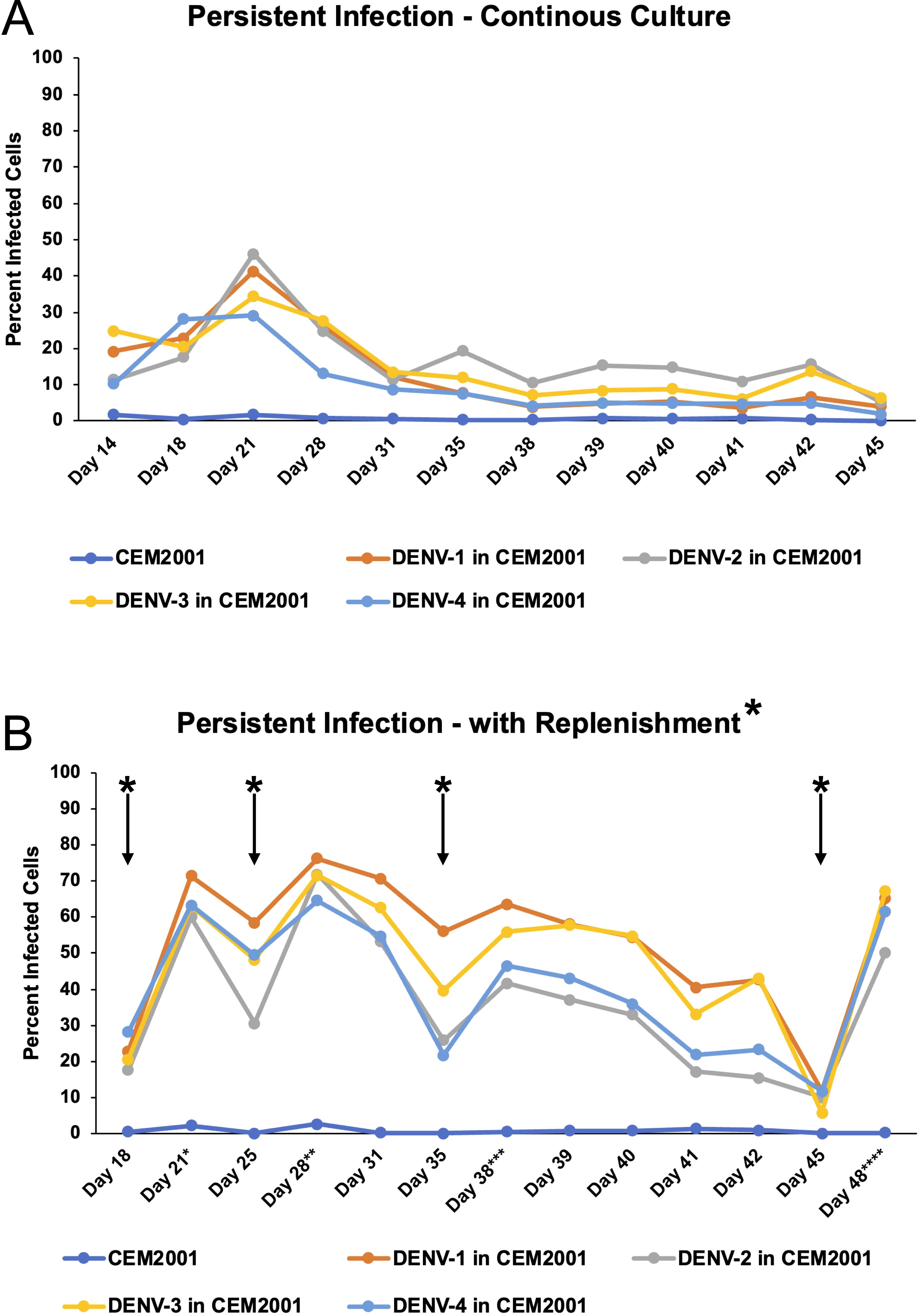 Graph A shows persistent infection levels in a continuous culture from day 14 to day 45, with different DENV strains in CEM2001. Graph B represents persistent infection with replenishment, indicating fluctuations and peaks at marked days. Both graphs display infection percentages over time for DENV-1, DENV-2, DENV-3, and DENV-4, using different colored lines for each strain and condition.