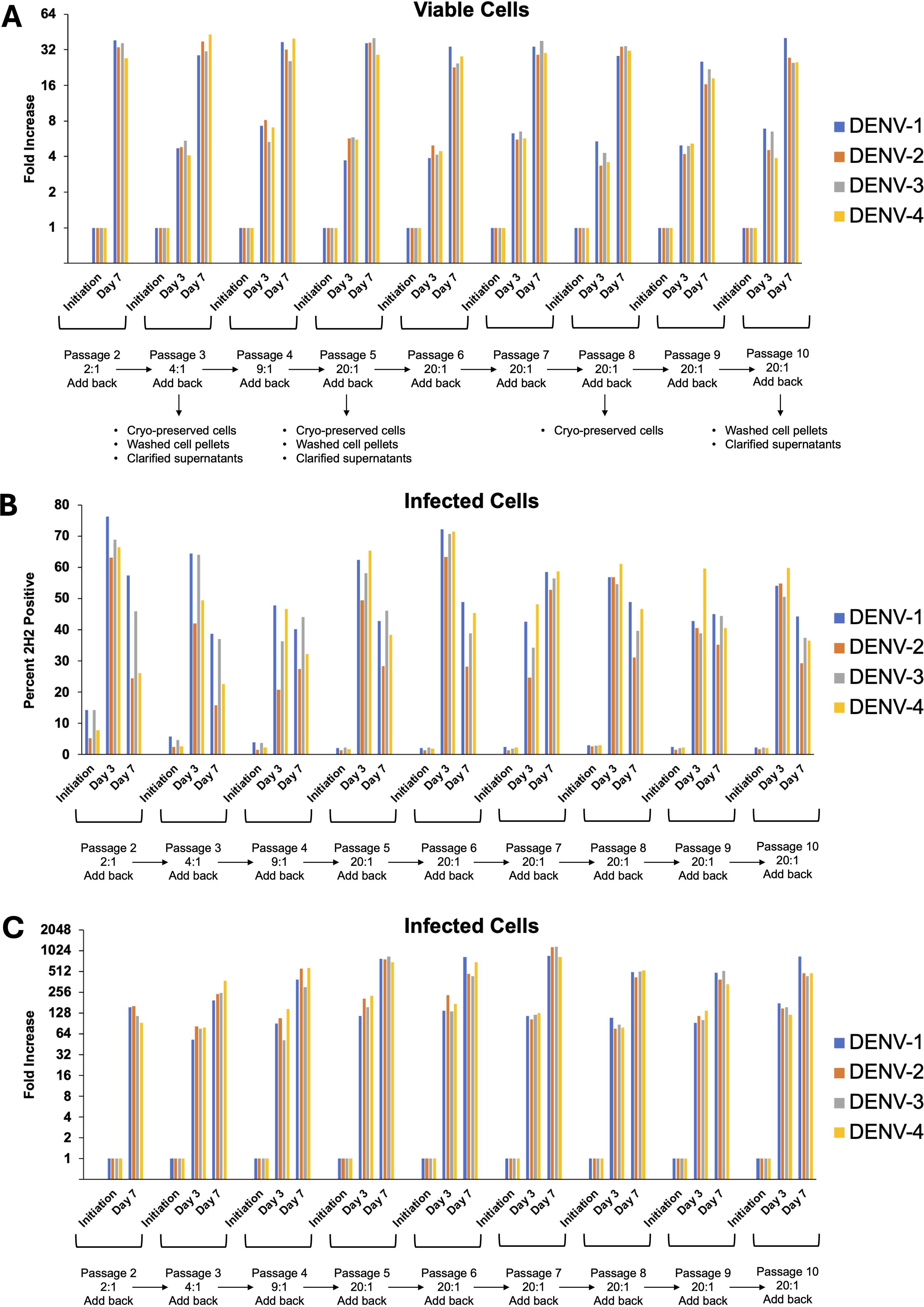 Three bar graphs labeled A, B, and C display data on DENV-1 to DENV-4 for viable and infected cells. Graph A shows fold increase in viable cells, B shows percent infection, C shows fold increase in infected cells. Each graph presents data across multiple passages and days, with separate bars for each DENV type. Abbreviations like cryo-preserved cells, washed cell pellets, and clarified supernatants are annotated below passages.