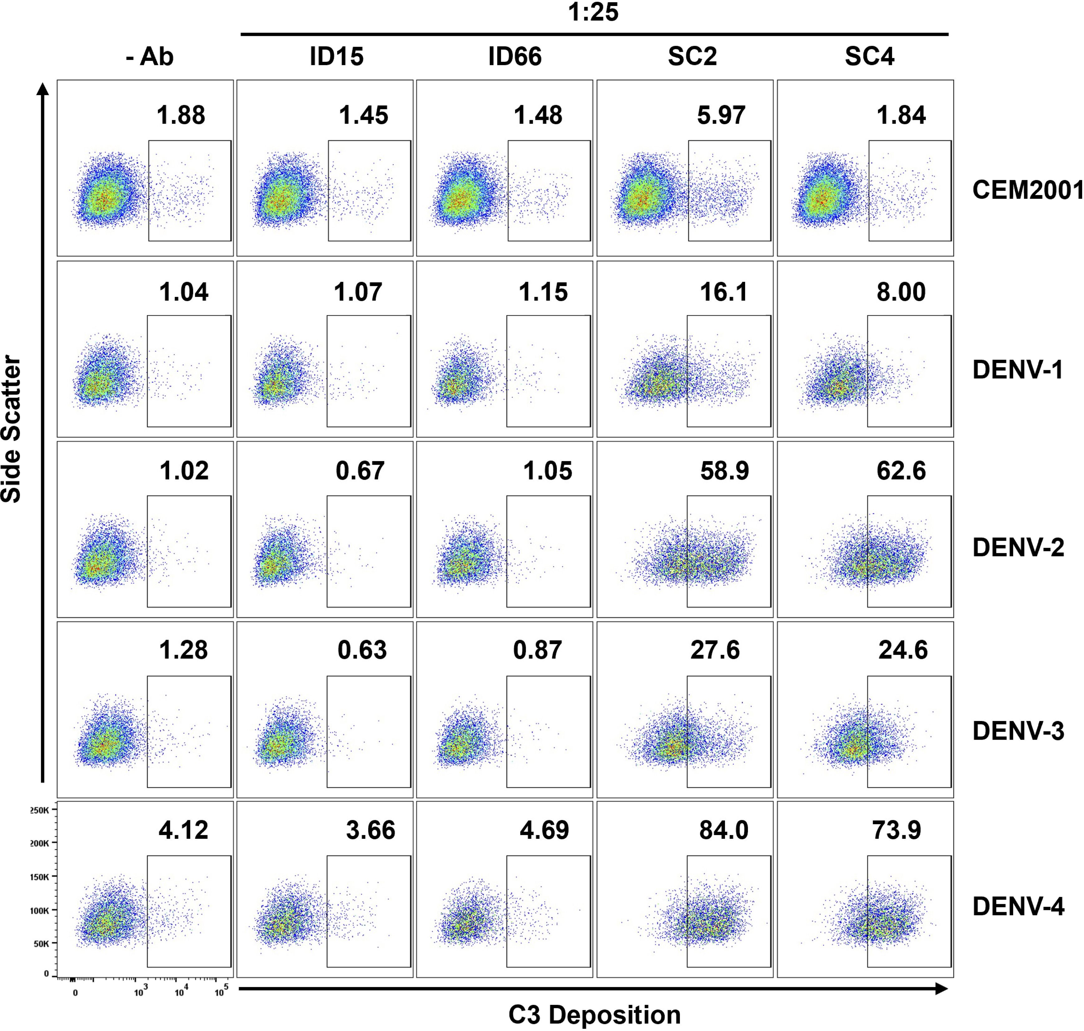 Dot plots showing C3 deposition (x-axis) against side scatter (y-axis) for various dengue virus strains (CEM2001, DENV-1 to DENV-4) and different antibody conditions (ID15, ID66, SC2, SC4). Numbers above each plot indicate specific deposition values. The SC2 and SC4 conditions show higher C3 deposition compared to ID15 and ID66, especially for DENV-2, DENV-3, and DENV-4.