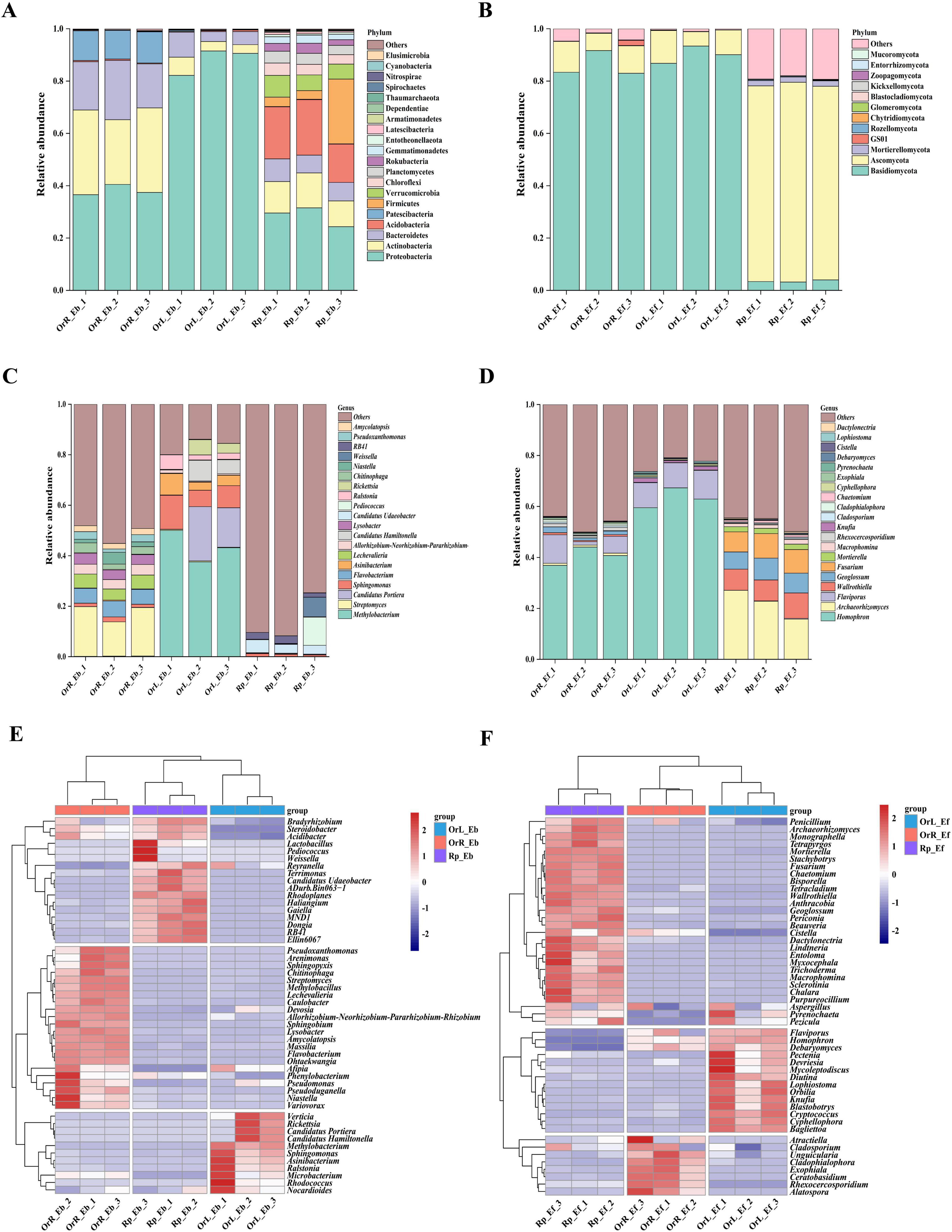 Six graphs are shown. Graphs A and B are stacked bar charts depicting the relative abundance of different microbial phyla across various samples. Graphs C and D are stacked bar charts showing the relative abundance of microbial genera in the same samples. Graphs E and F are heat maps visualizing microbial abundance, with gradient colors indicating relative values. Each graph displays variation within and between the specified groups, labeled on the x-axes. The color legend is included for phyla, genera, and group categories.