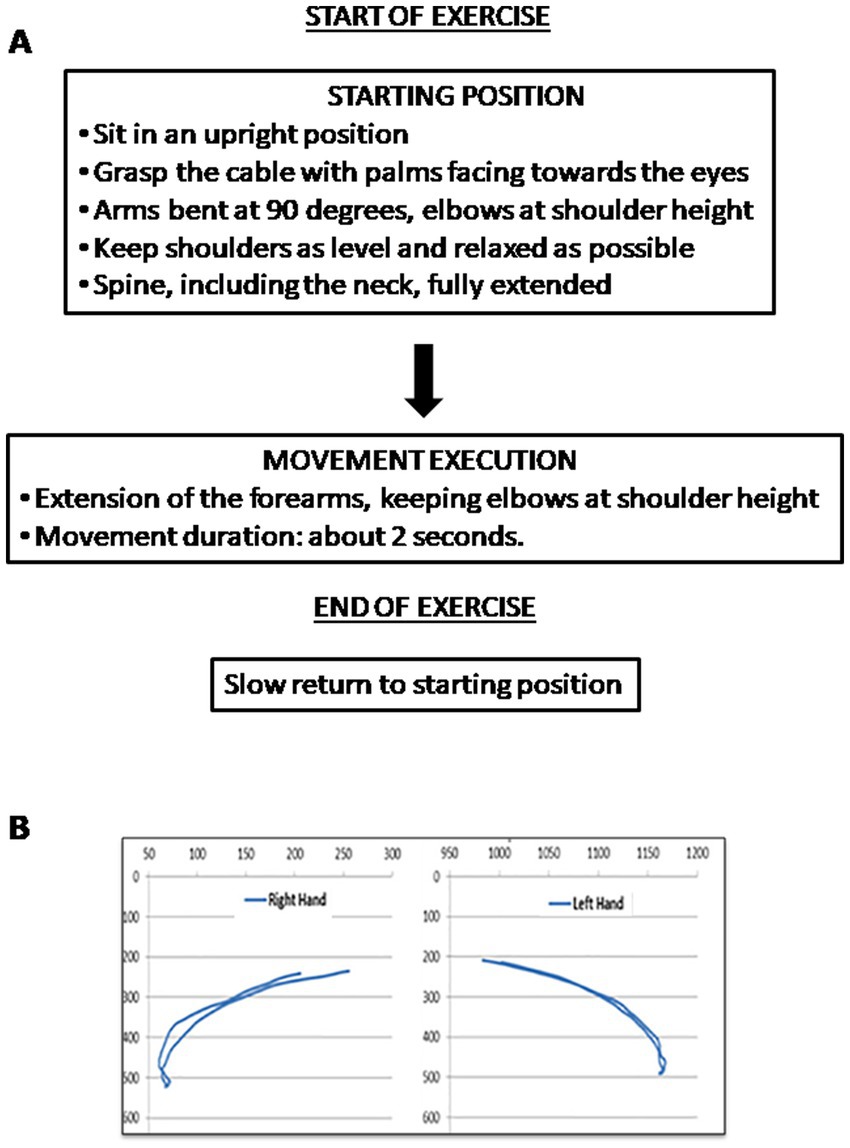 Diagram A outlines an exercise starting with sitting upright, grasping a cable, arms bent at 90 degrees, and spine extended. Movement involves forearm extension for two seconds, maintaining elbows at shoulder height. Return slowly to the starting position. Diagram B features line graphs showing hand movement data for the right and left hands.