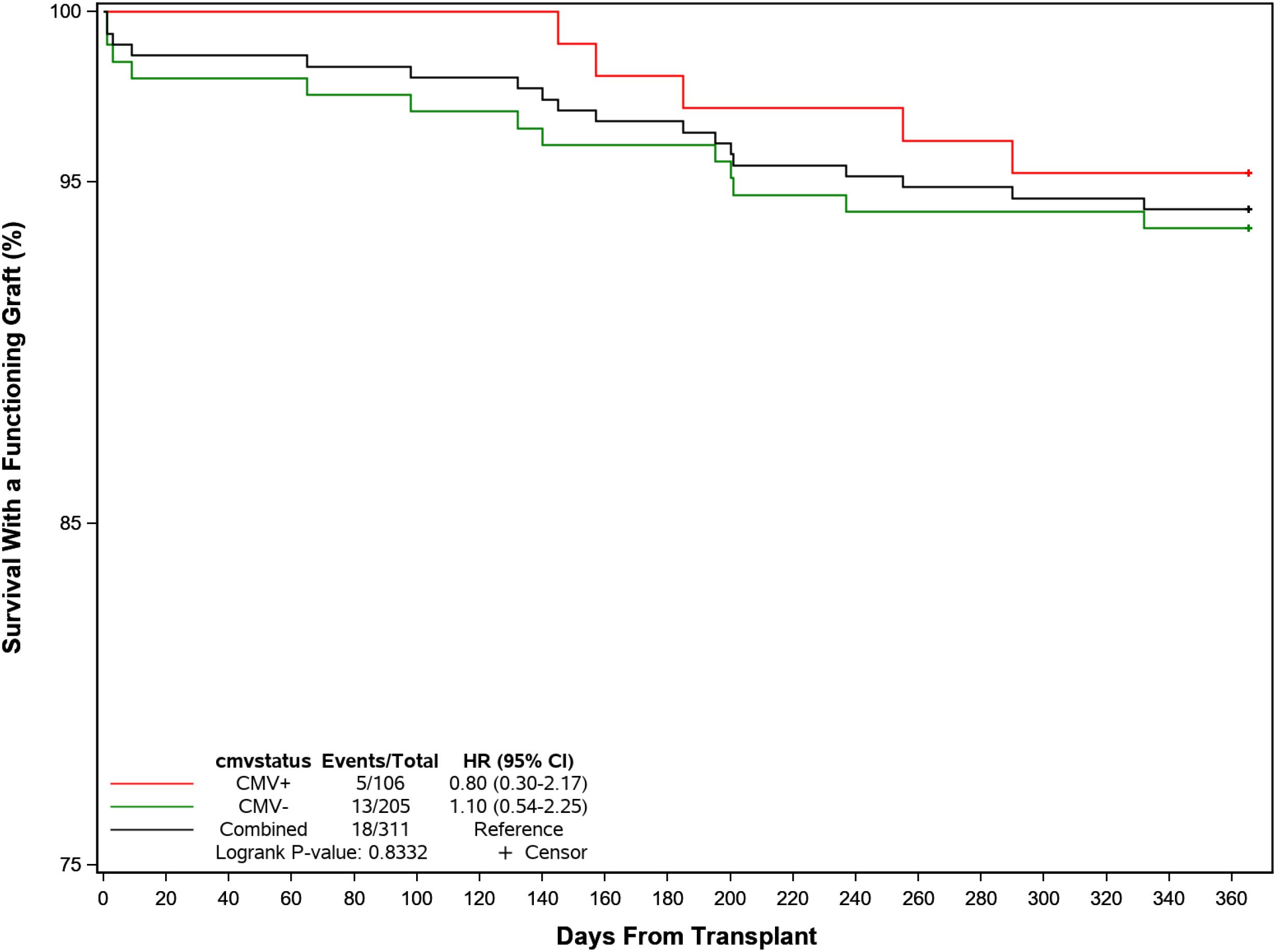 Kaplan-Meier survival curve showing graft survival percentage over 360 days post-transplant, comparing CMV positive (red), CMV negative (green), and combined (black) groups. Event counts are 5/106 for CMV+, 13/205 for CMV-, with hazard ratios and confidence intervals provided. Logrank p-value is 0.8332.