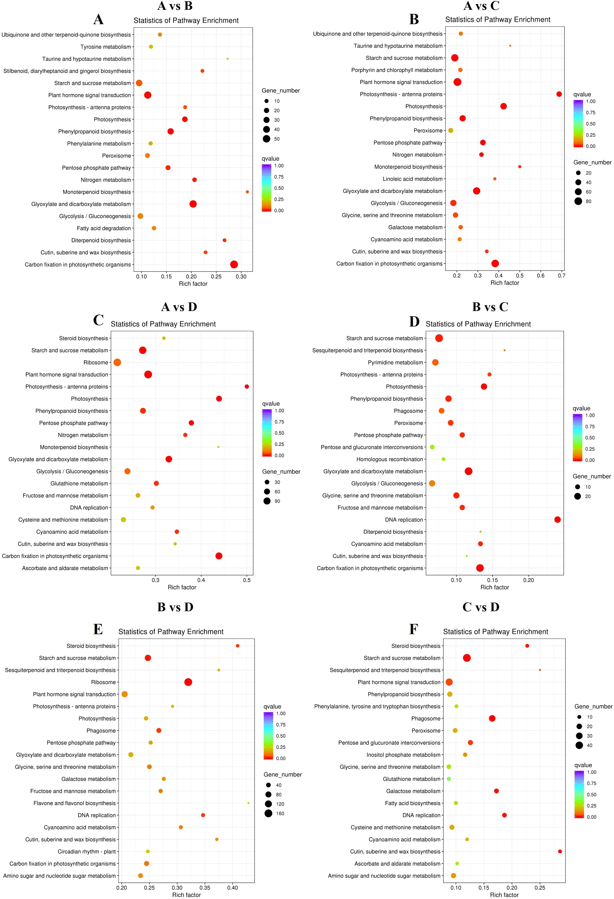 Six scatter plots display pathway enrichment statistics for different comparisons labeled A vs B, A vs C, A vs D, B vs C, B vs D, and C vs D. Each plot features pathways on the y-axis, rich factor on the x-axis, and dots varying in size and color, representing gene numbers and q-values respectively. A legend describes q-value colors and gene number sizes for interpretation.